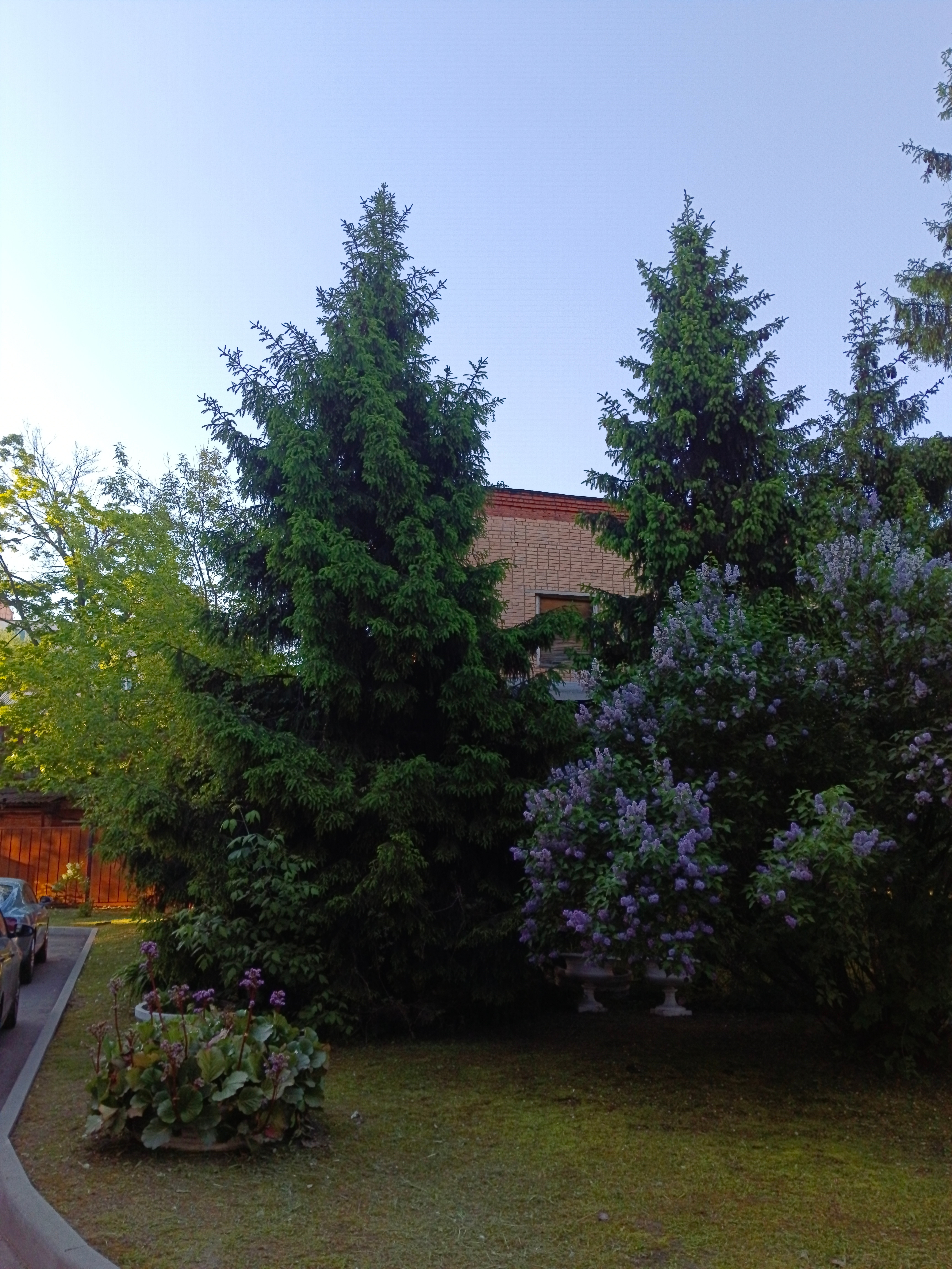 Фото Спортивно реабилитационный гостиничный комплекс ВОС