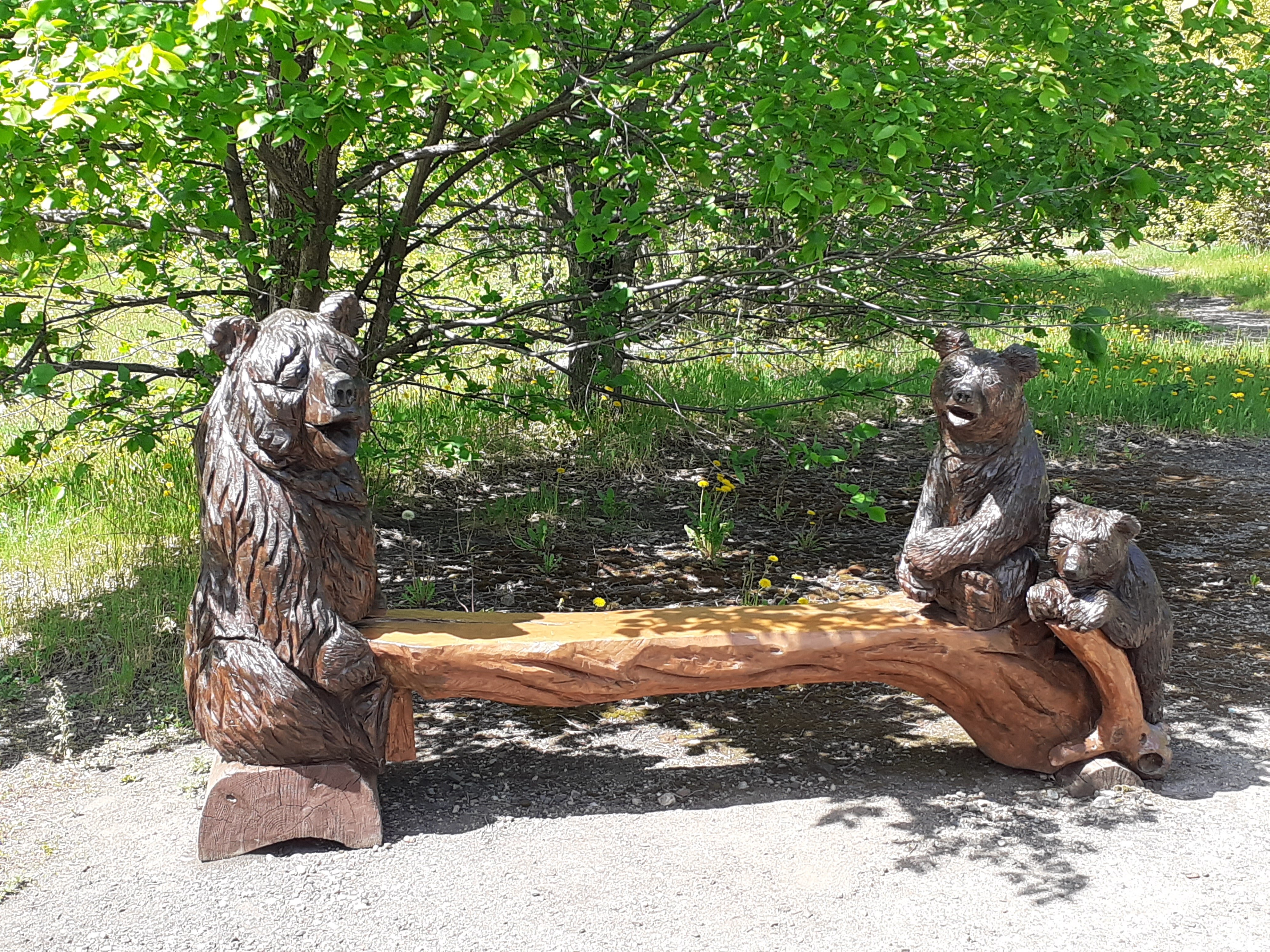 Фото Озеро Медвежье