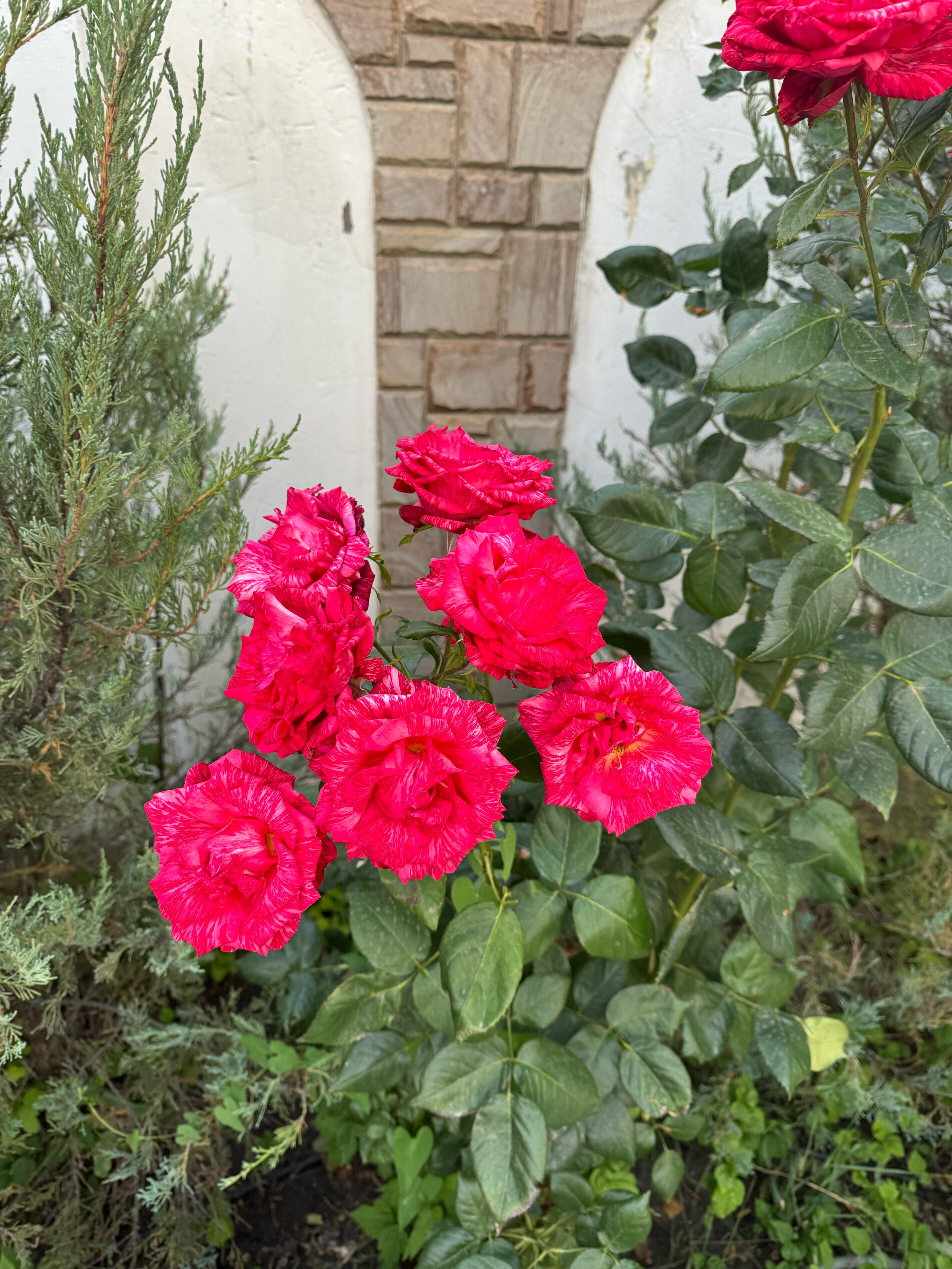 Фото Вилла София