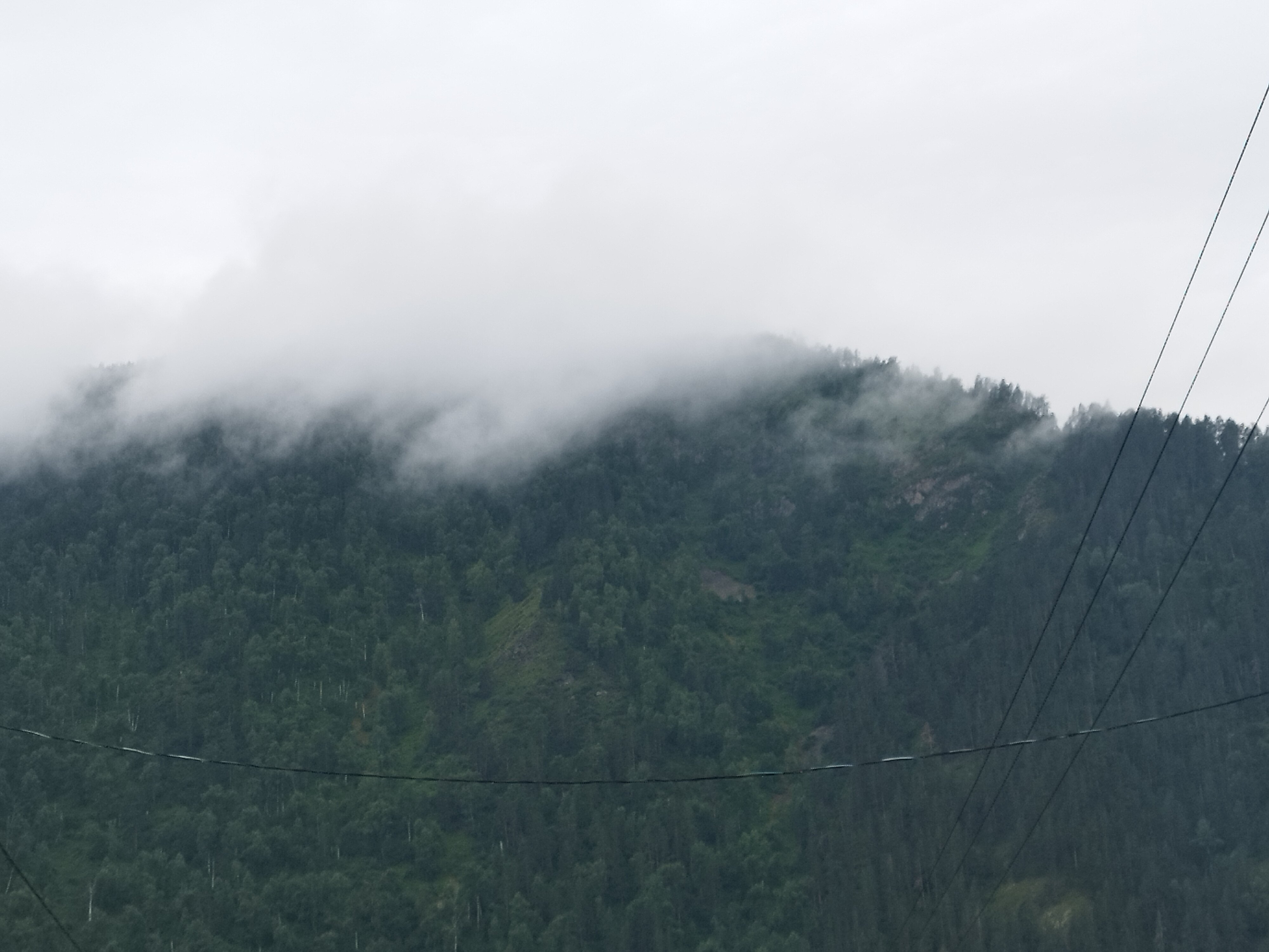 Фото Сункар