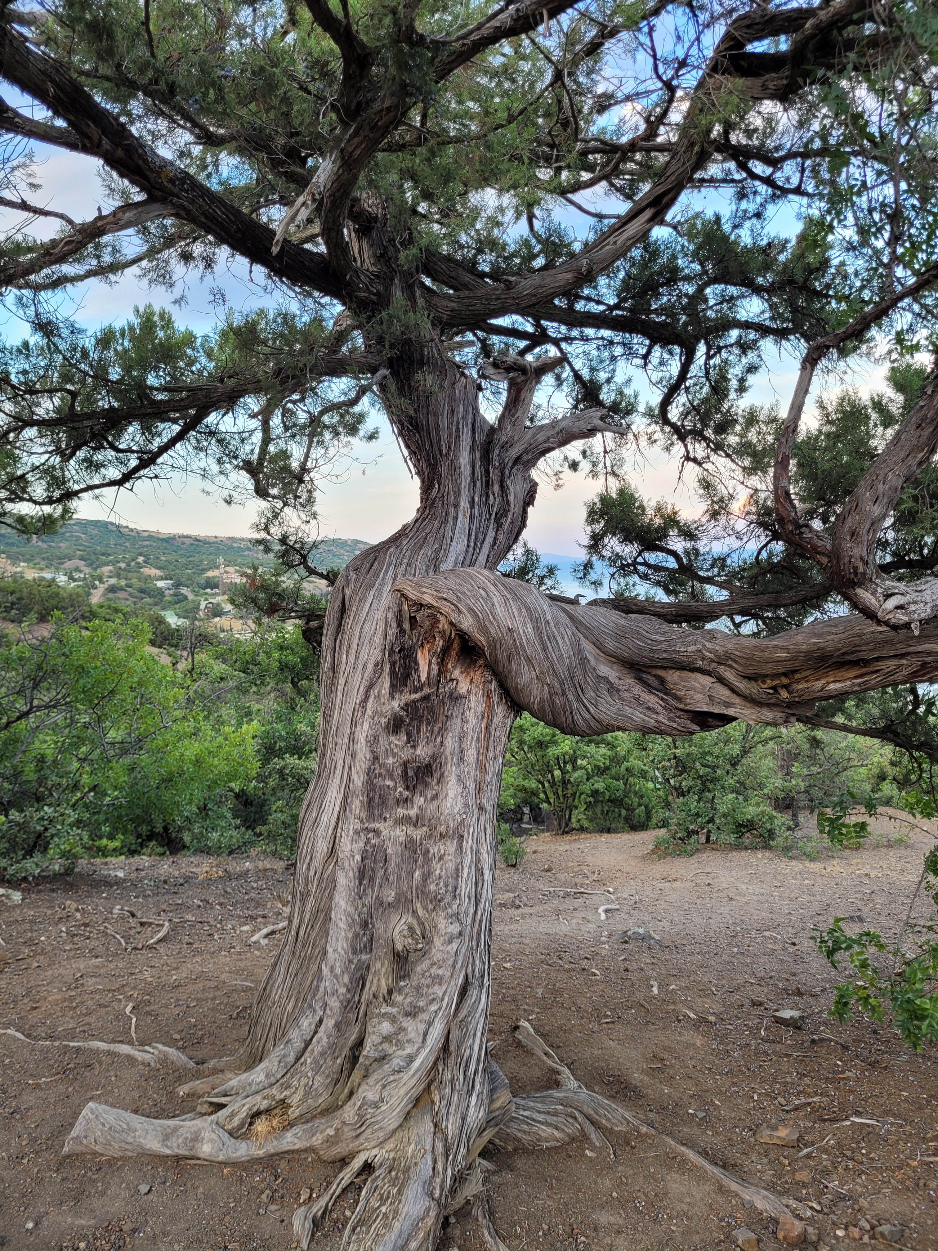 Фото Эко-Village