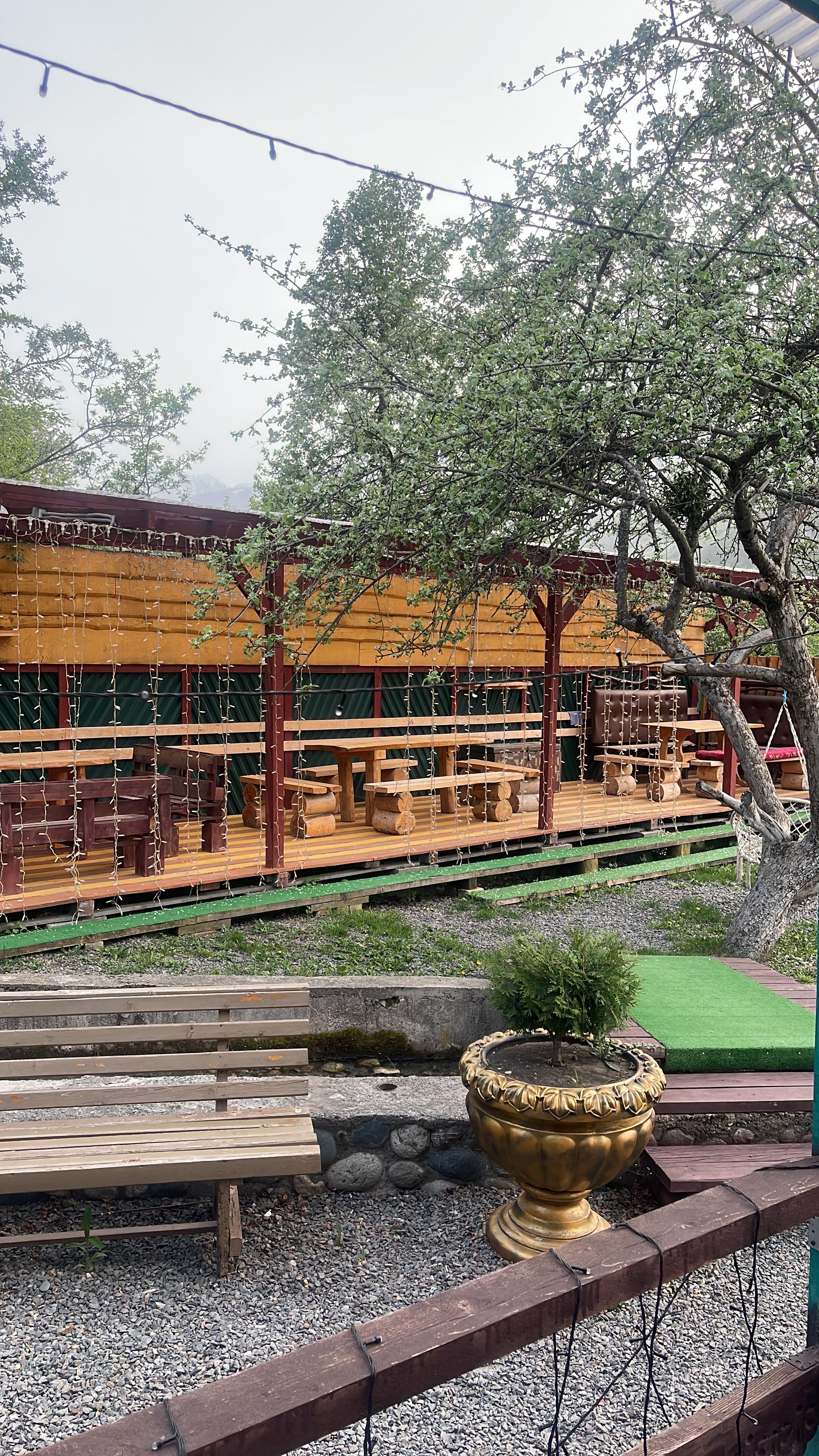 Фото Райские яблоки