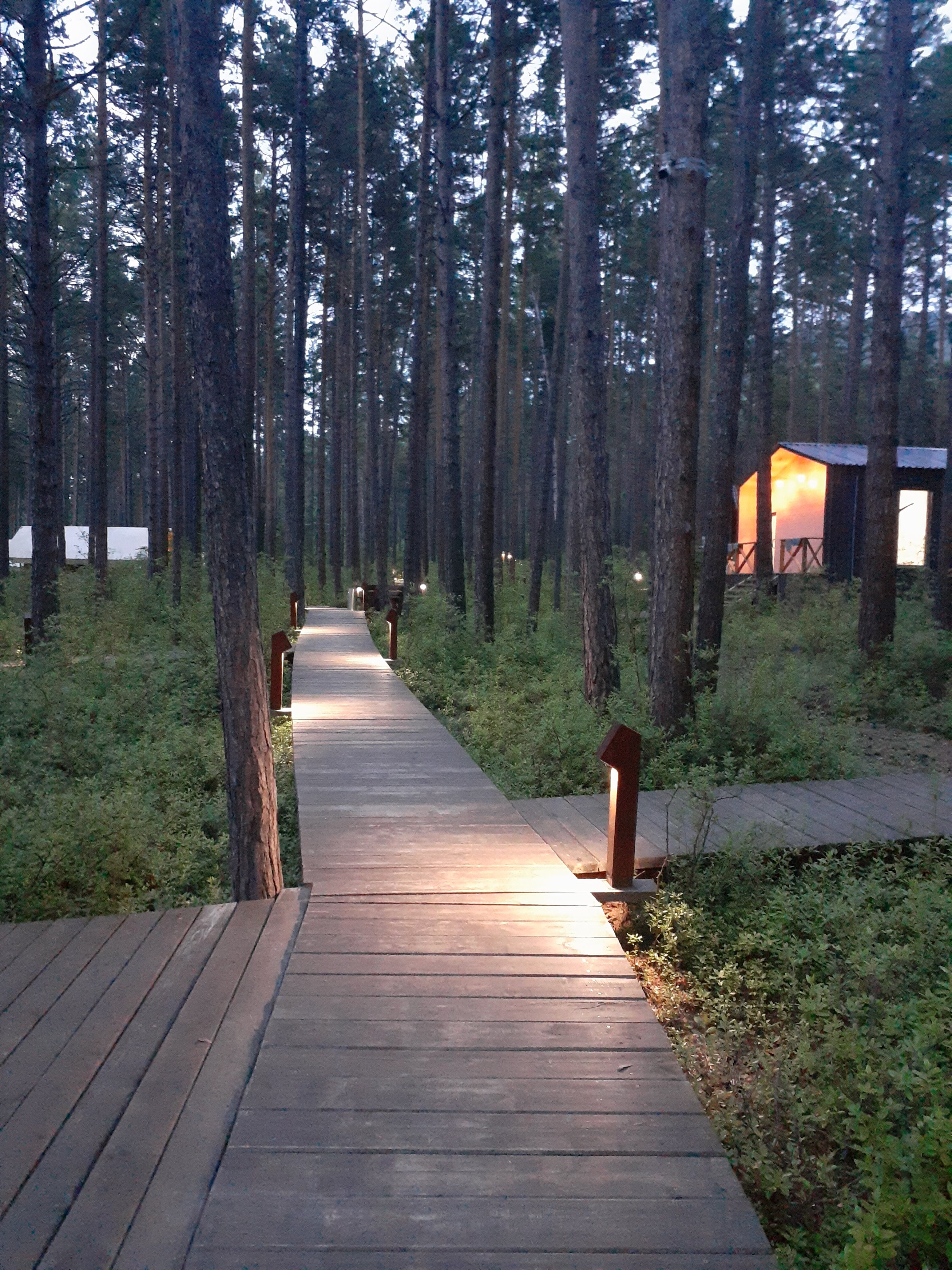 Фото Baikal Village