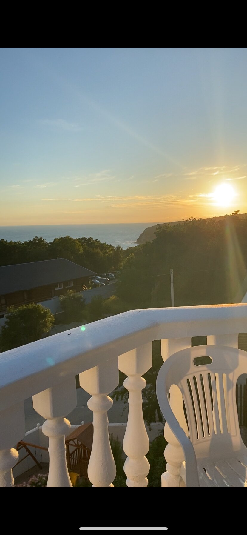 Фото Дельфин