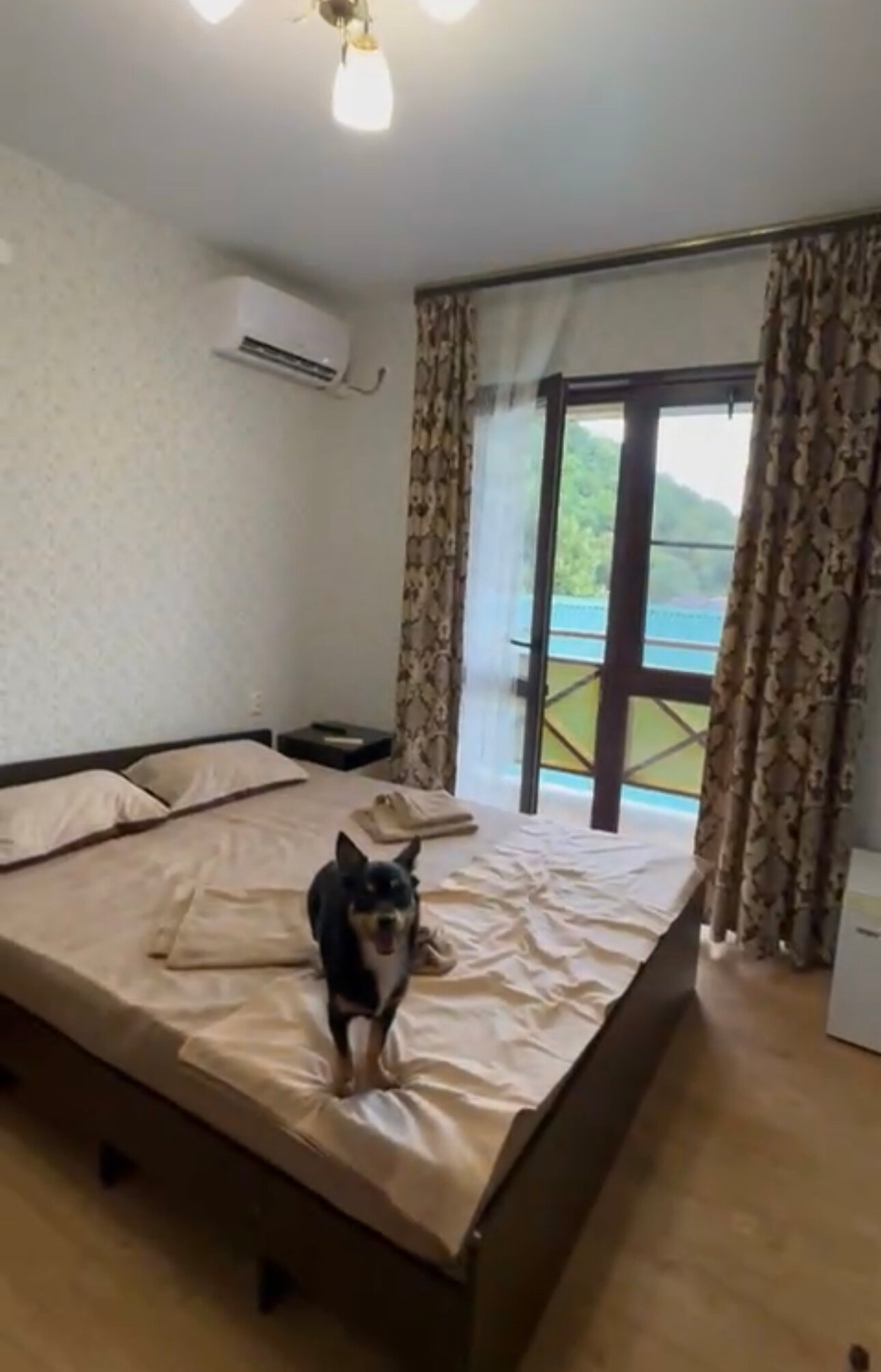 Фото Стефания