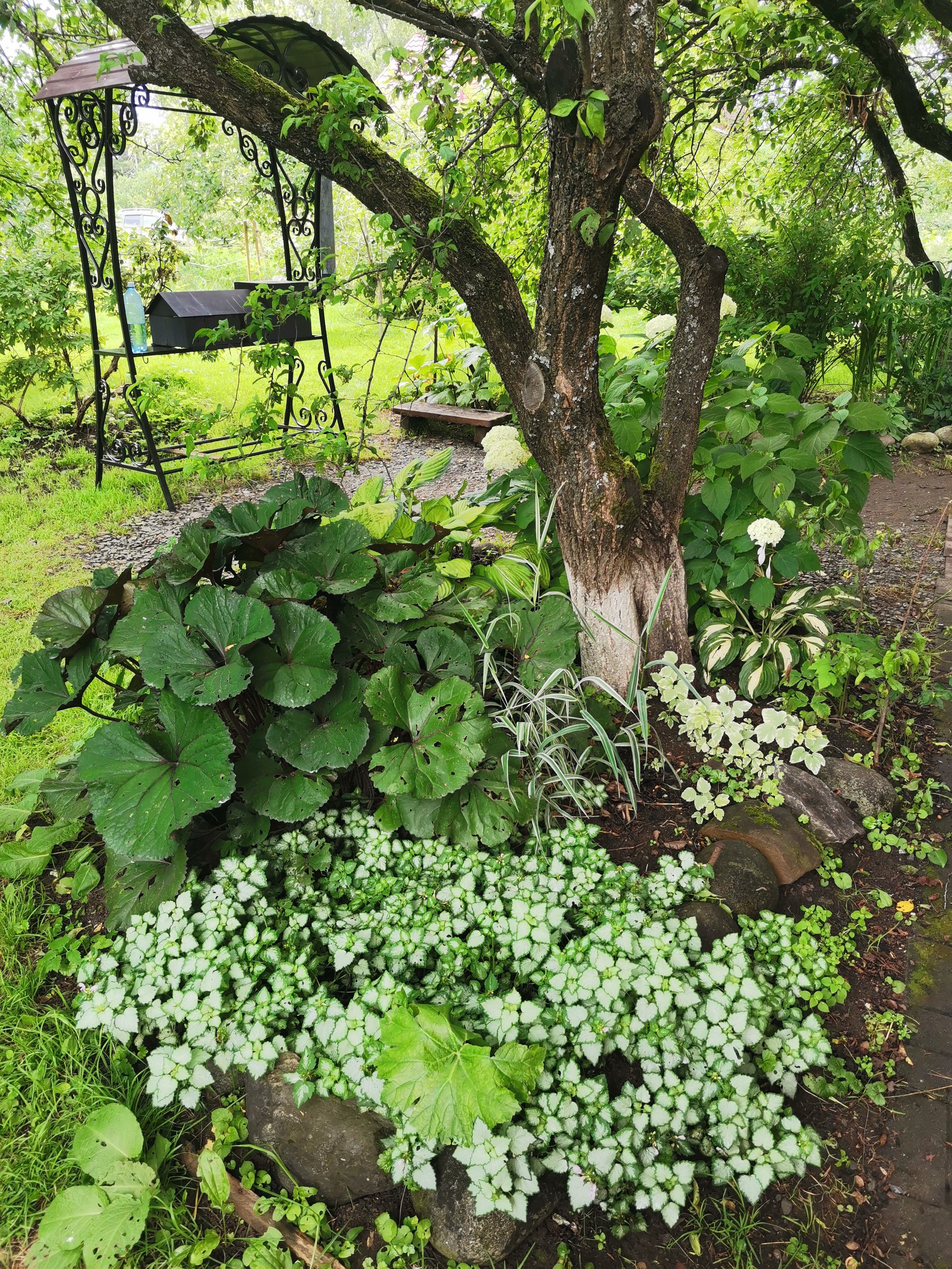 Фото Усадьба Сафроновых