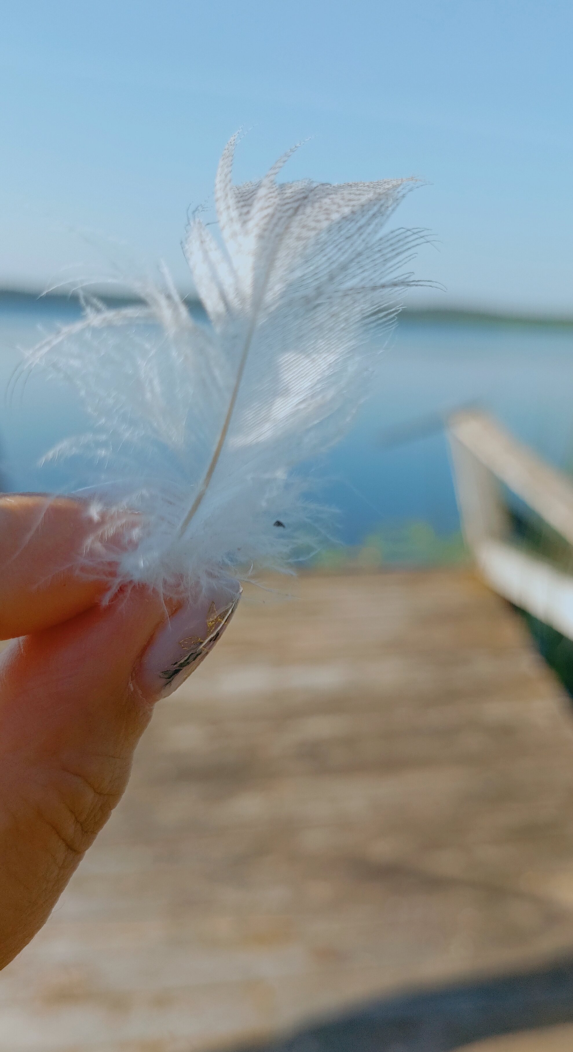 Фото Усадьба Забелье 4