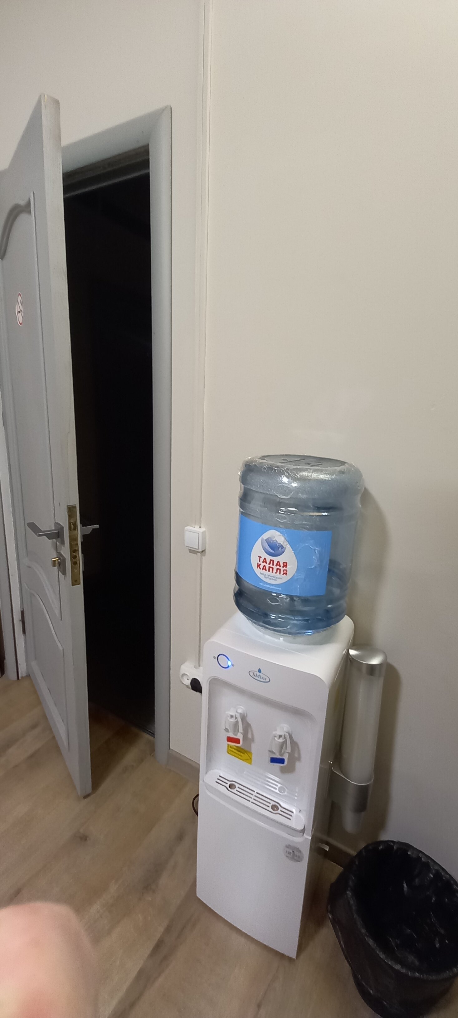 Фото Берёзка