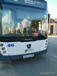 Станция Фруктовая (Moscow Region, Lukhovitsy Municipal District, posyolok Fruktovaya, Vokzalnaya ulitsa), public transport stop