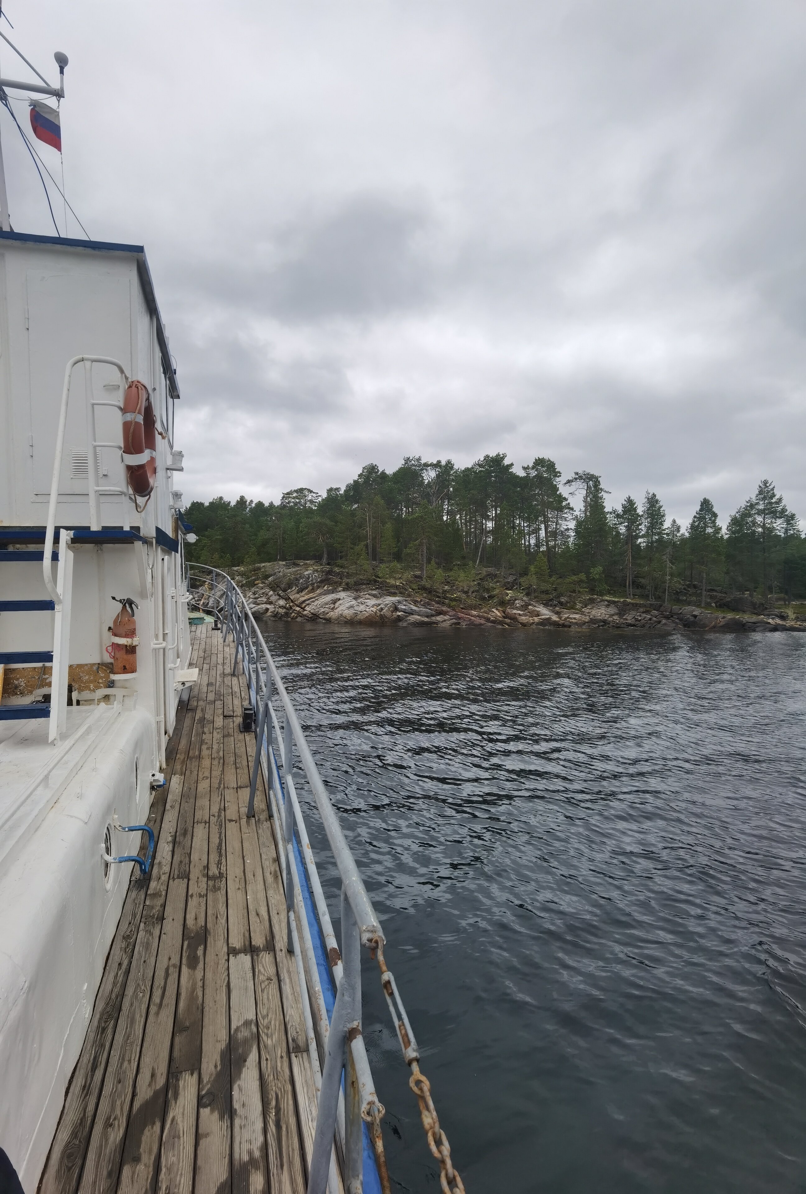 Фото Нереис