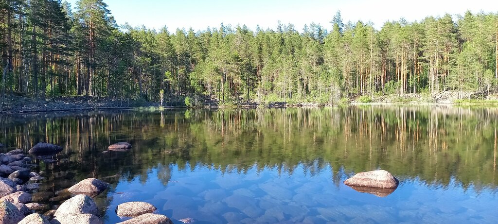 Urban forest Моренные озёра, Republic of Karelia, photo