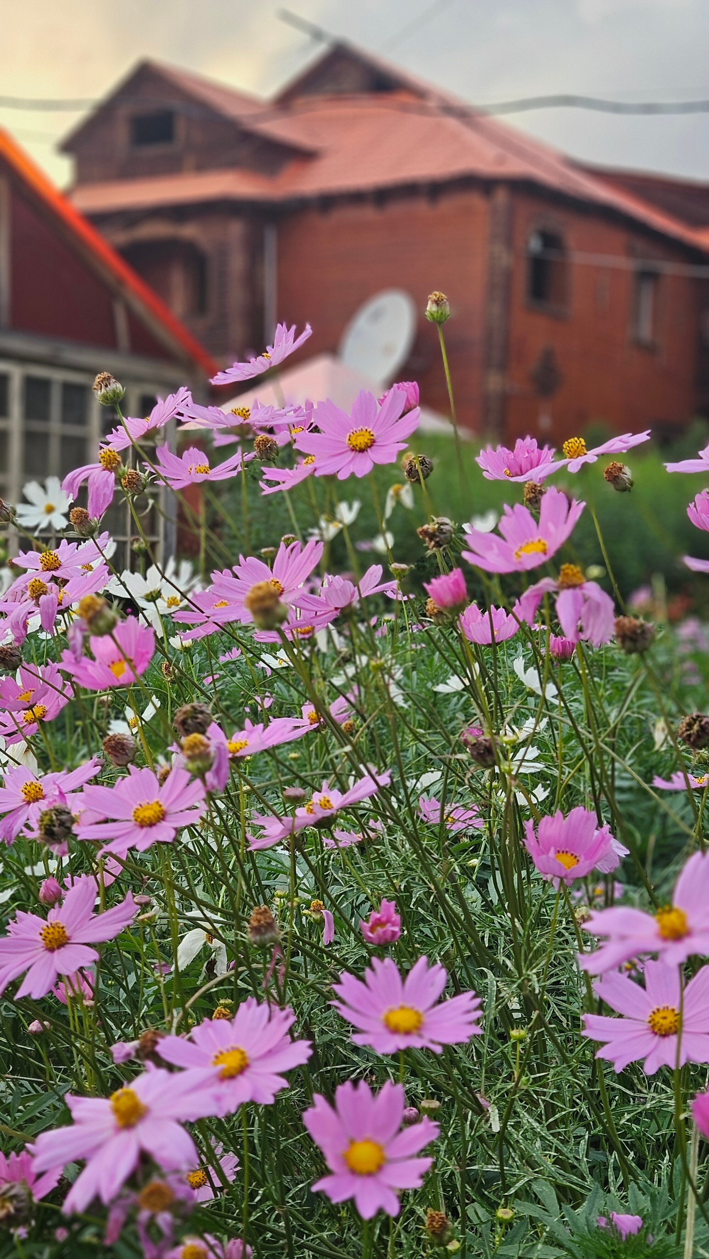 Фото Марьина Роща