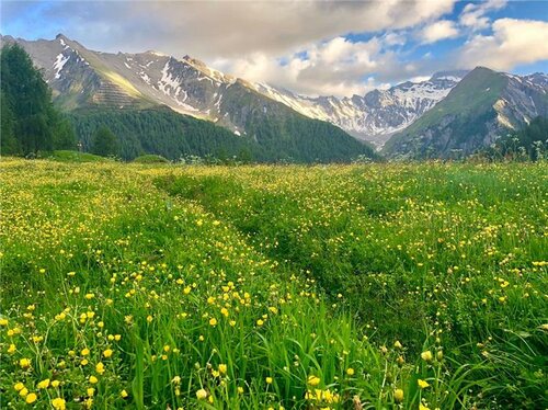 Внешний вид отеля Relais & Châteaux Chasa Montana в Замнауне, фото 4