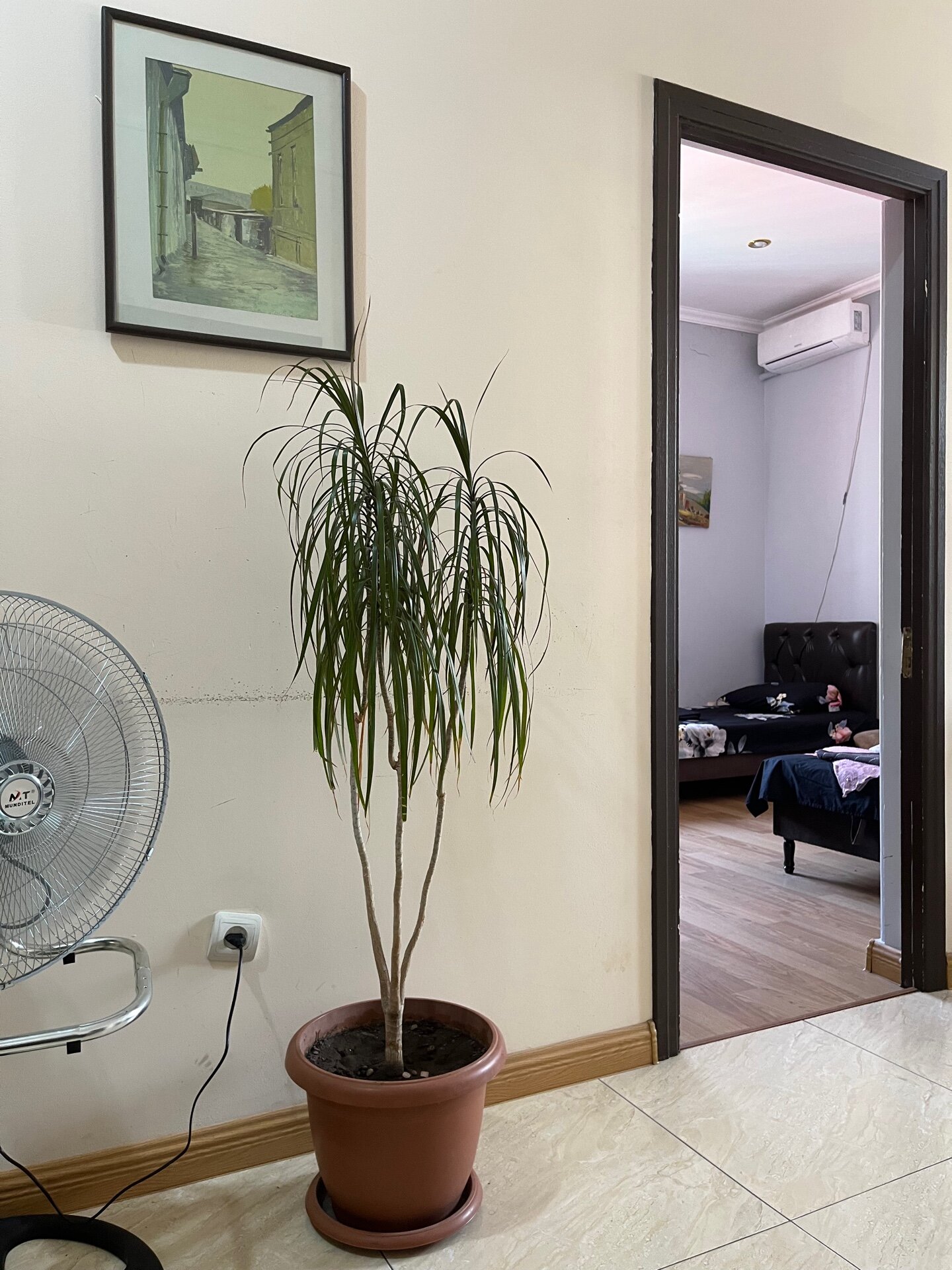 Фото Гостевой Дом Комитас