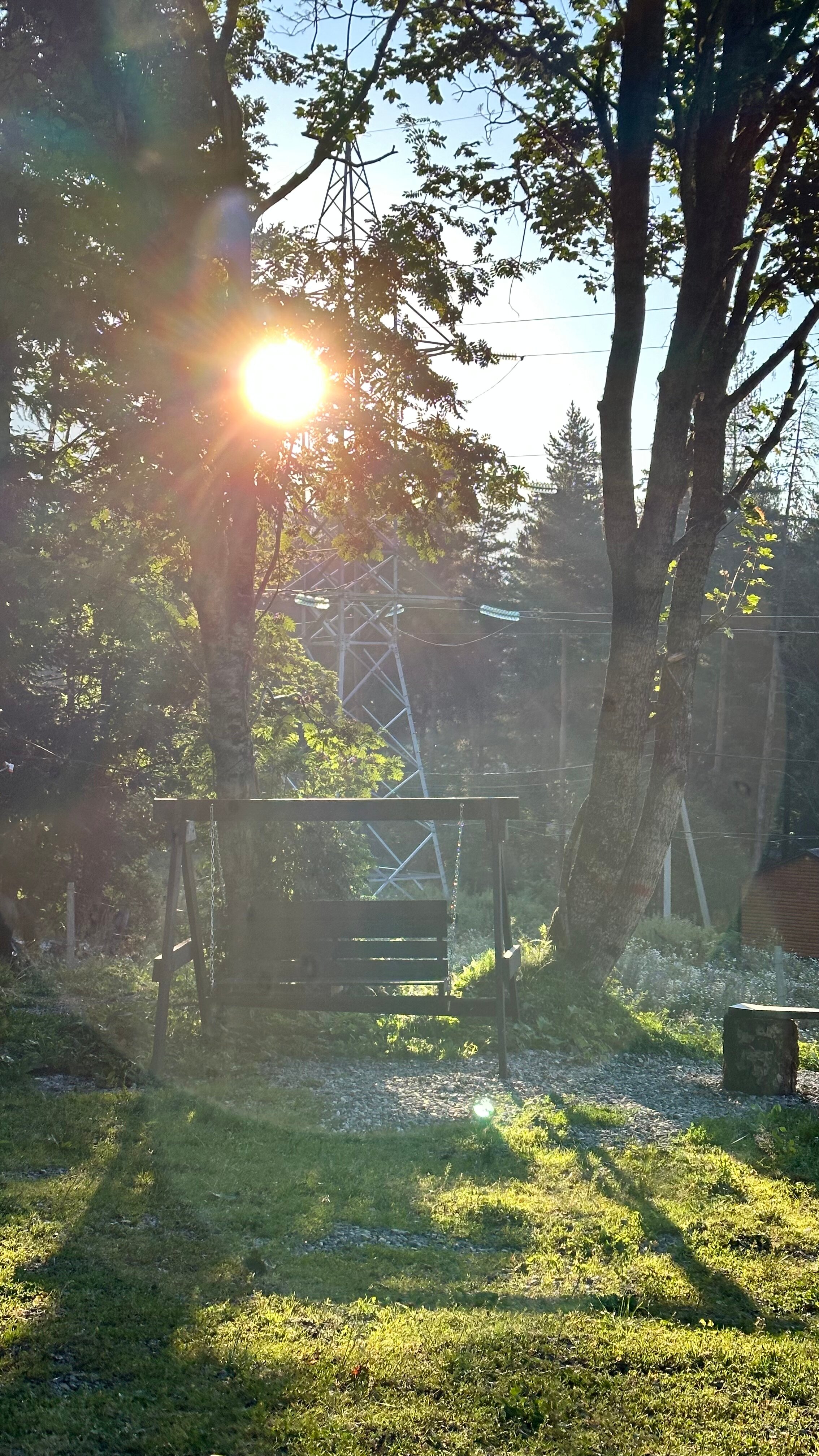 Фото Дикая Лошадь