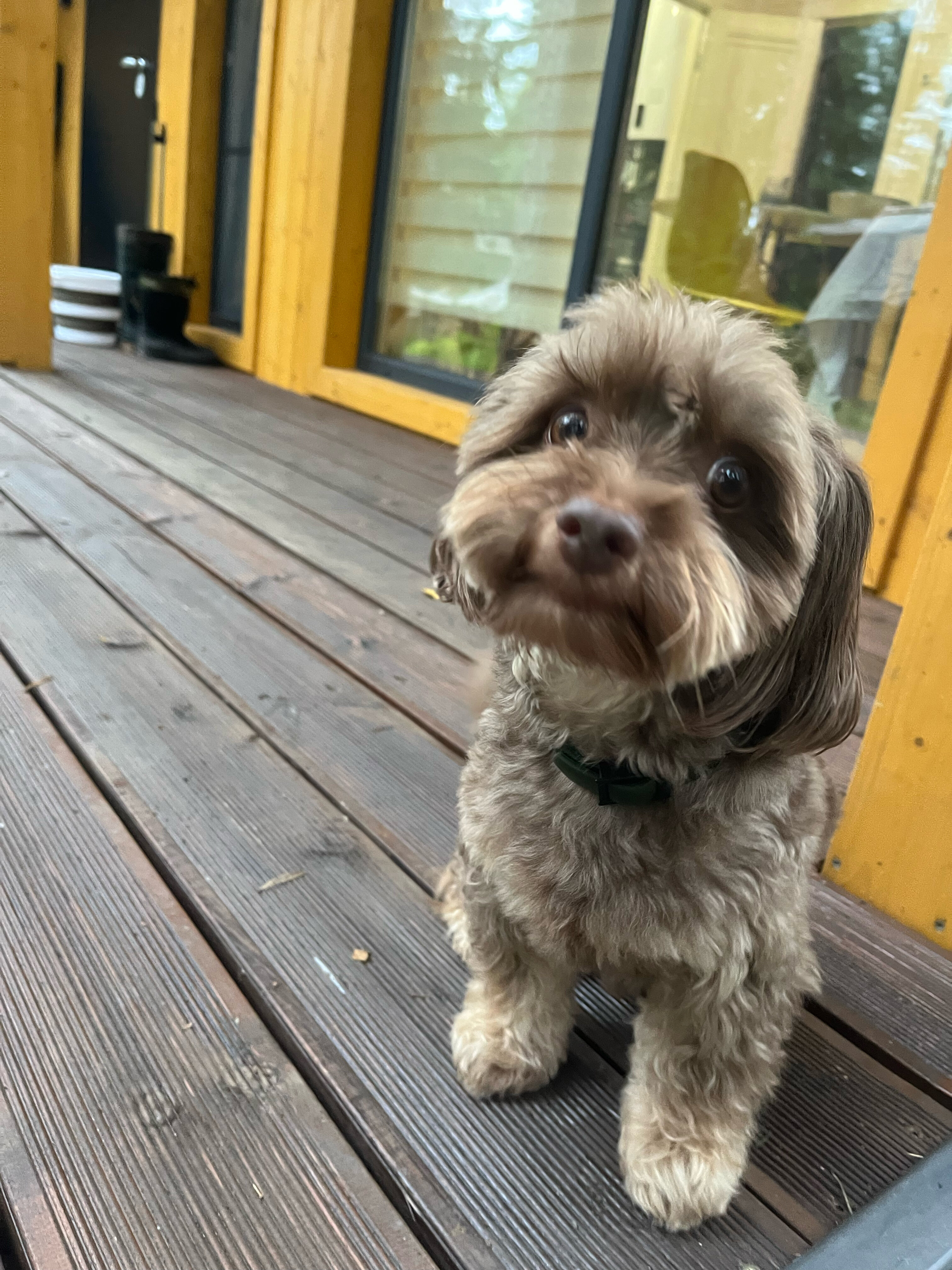 Фото Территория отдыха Лисички