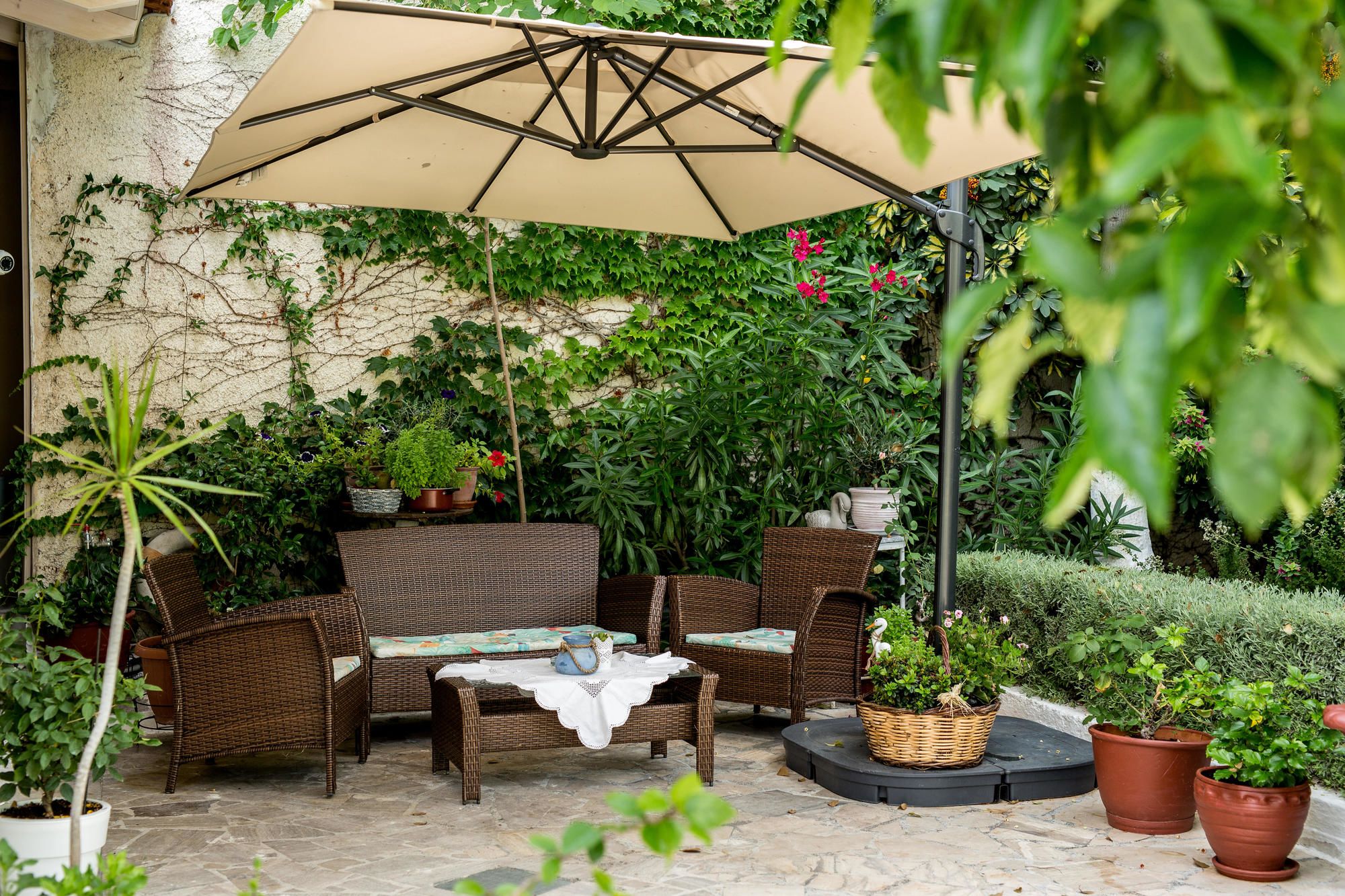 Фото Oasis Apartments