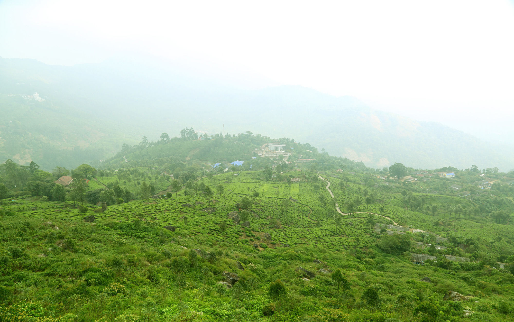 Фото Amber Dale Luxury Hotel & SPA