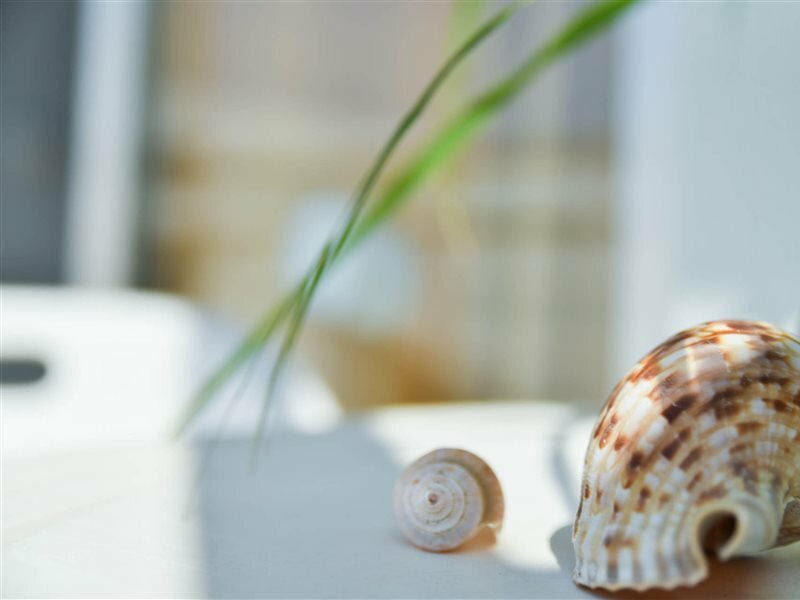 Фото Vassilia Hotel