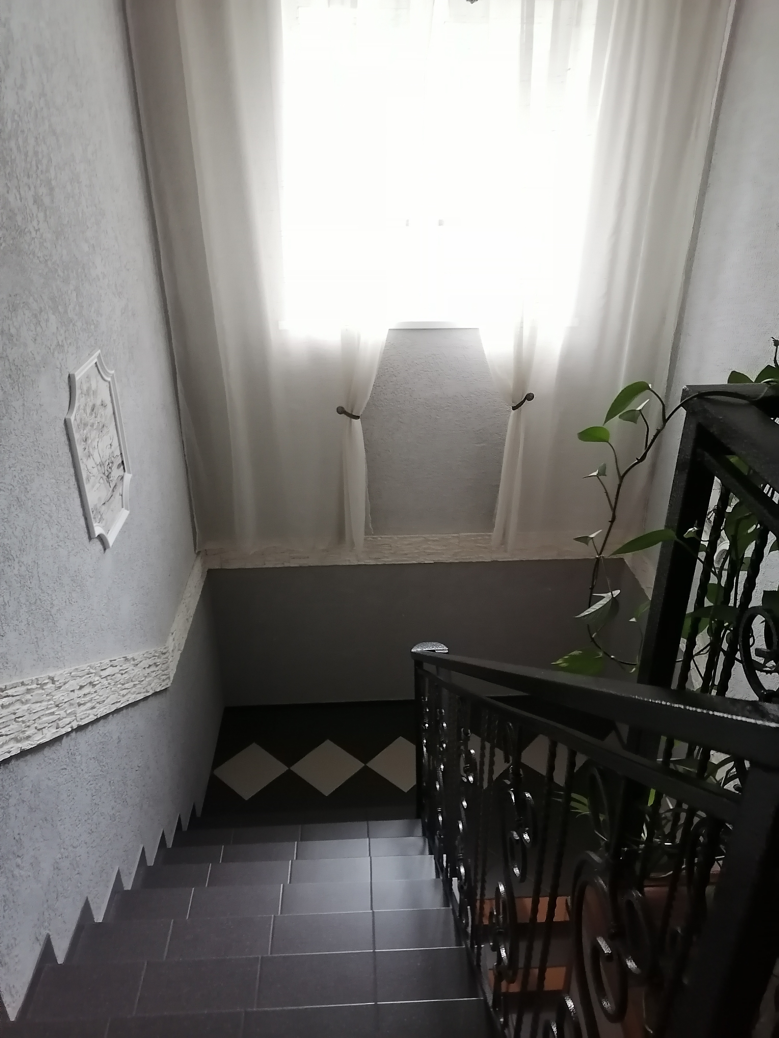 Фото Камран