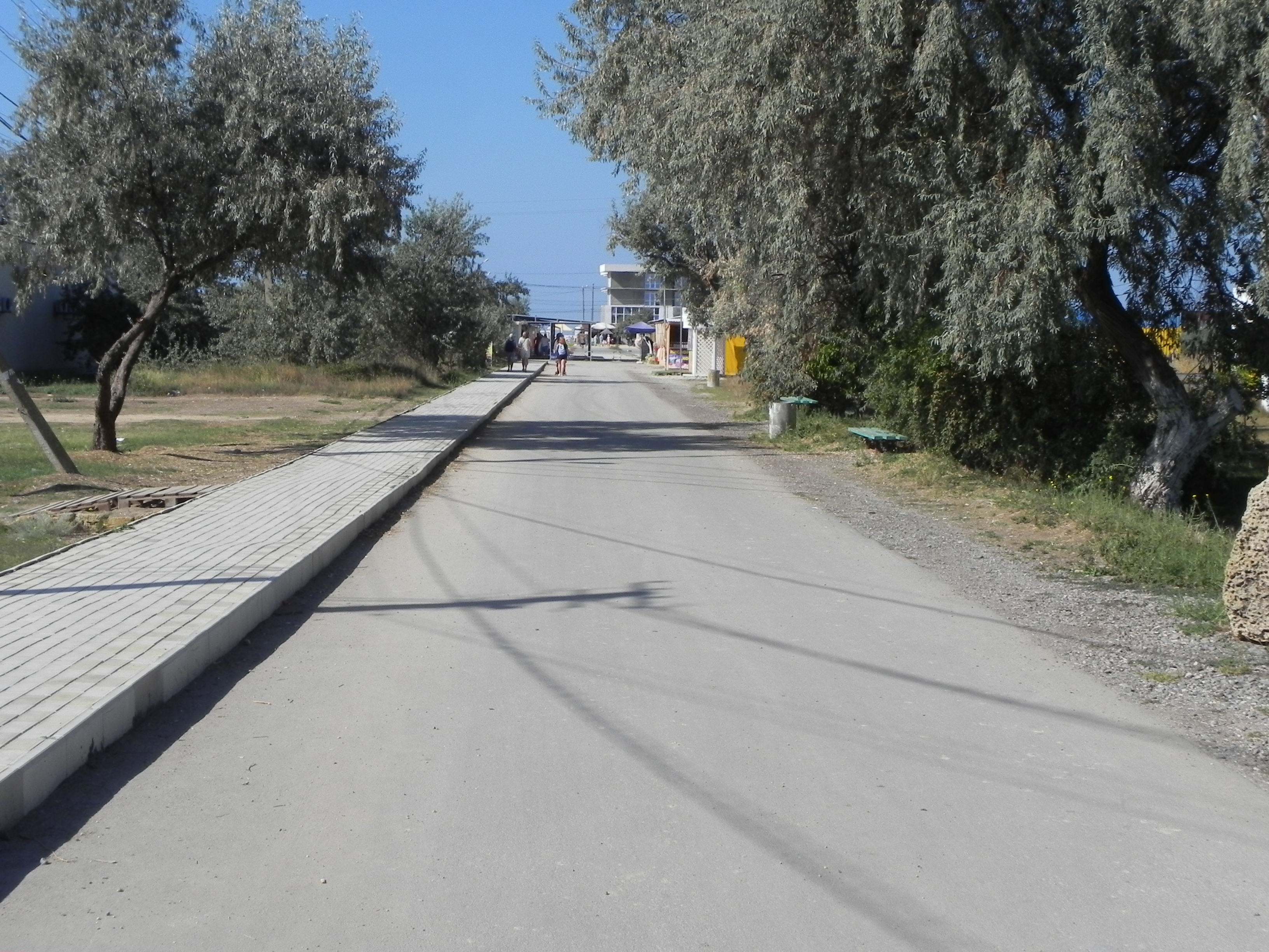 Фото Фанни Вероника