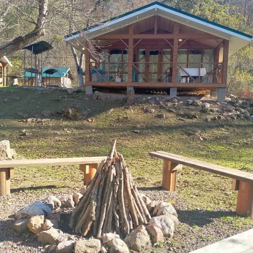 Фото Лесной