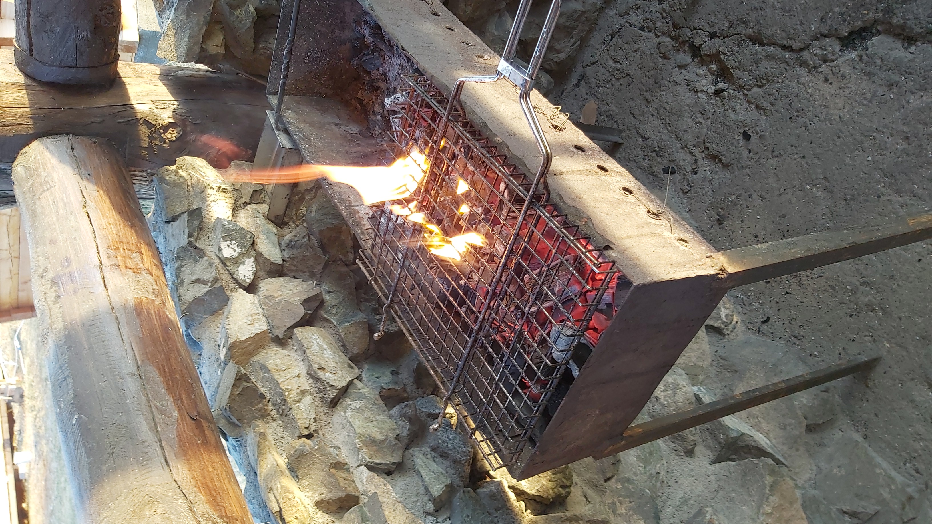 Фото Алтайские дачи