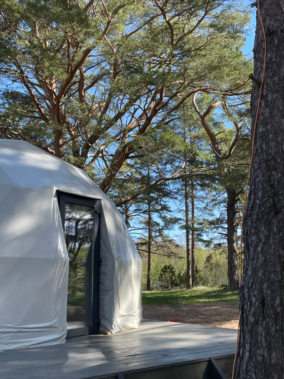 Фото Вéззика