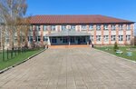 Tenkovskaya Srednyaya Obshcheobrazovatelnaya shkola (село Теньковка, Базарная улица, 27), school