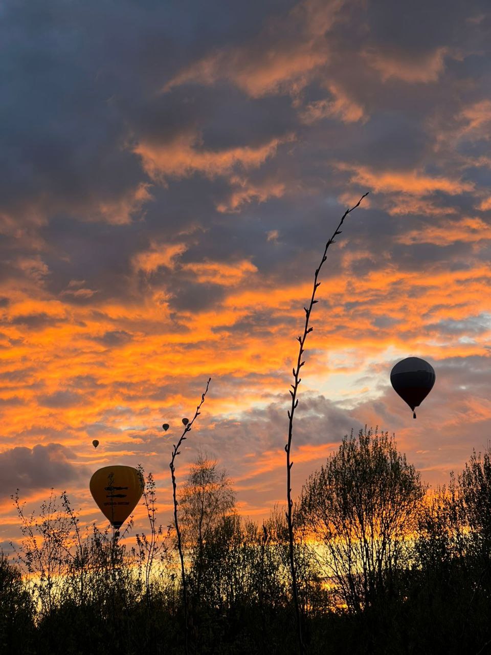 Фото Дом грёз Утиные пруды