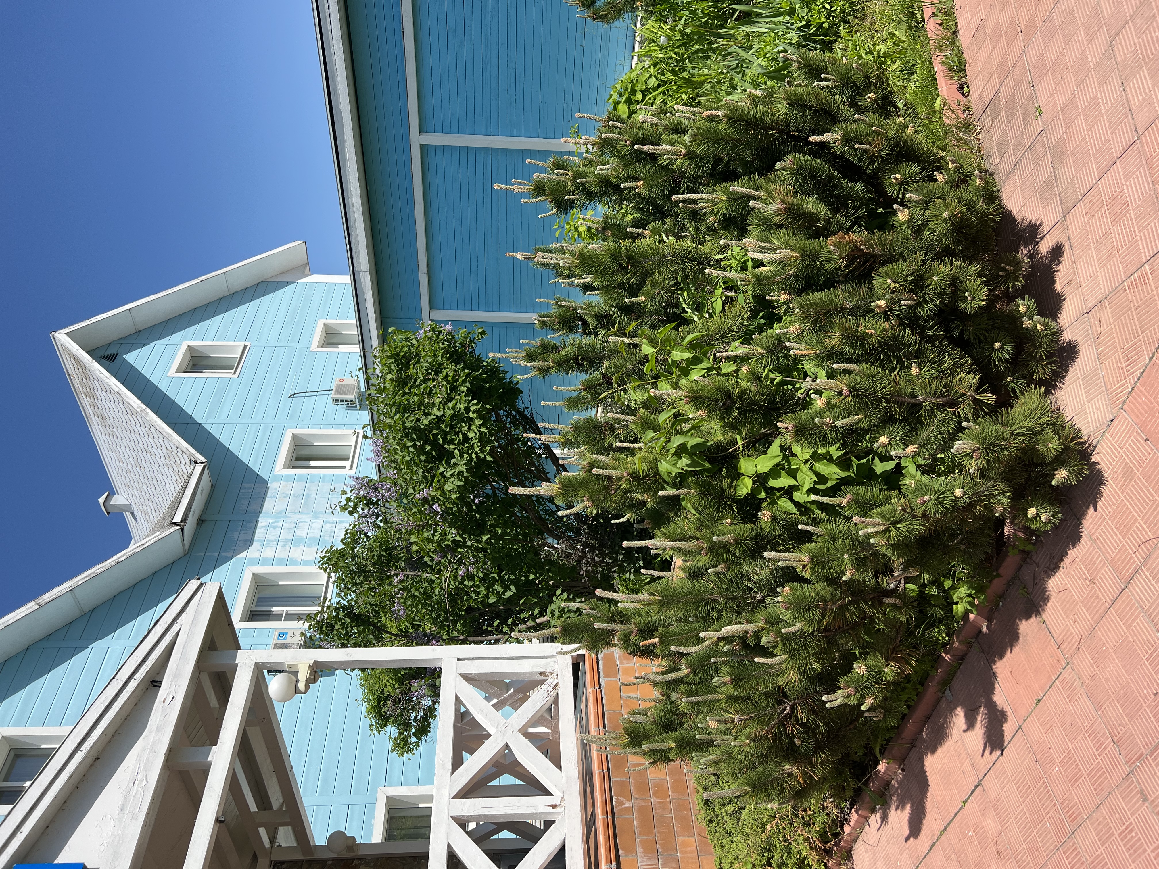 Фото Чистые пруды