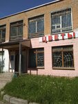 Серпантин (posyolok Zavolzhskiy, 6) ، محل زهور