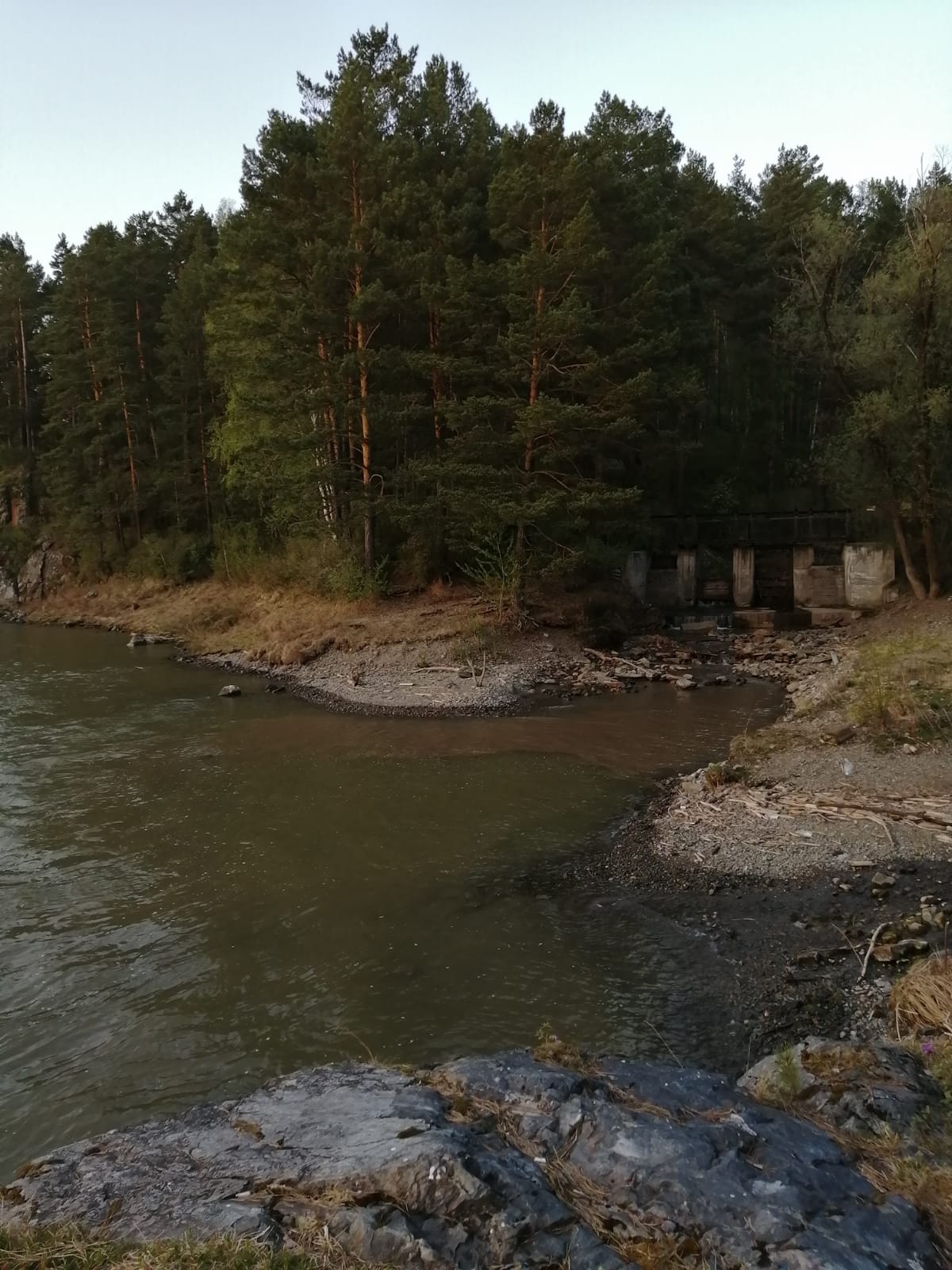 Фото Удачный