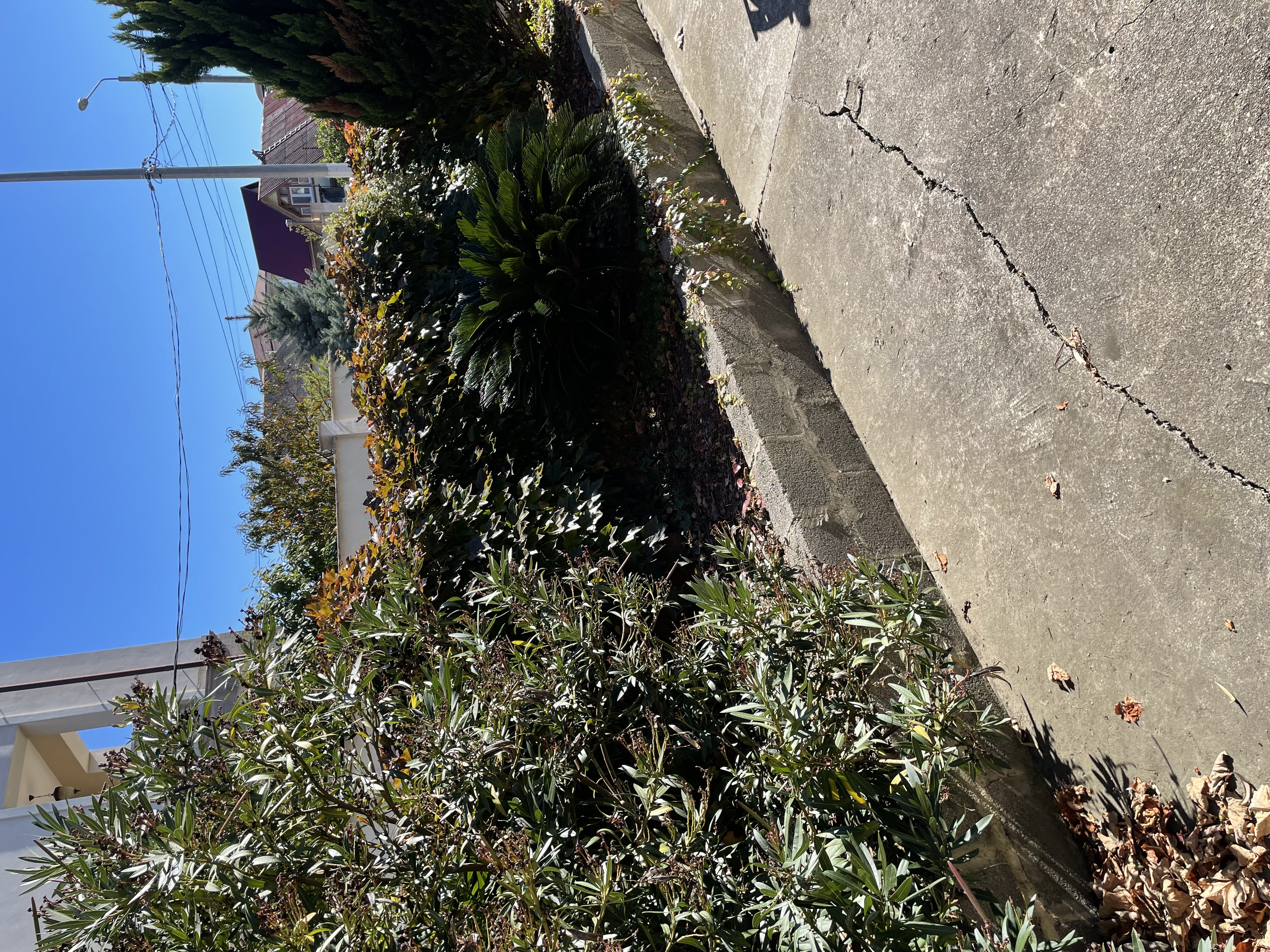 Фото Олимпия