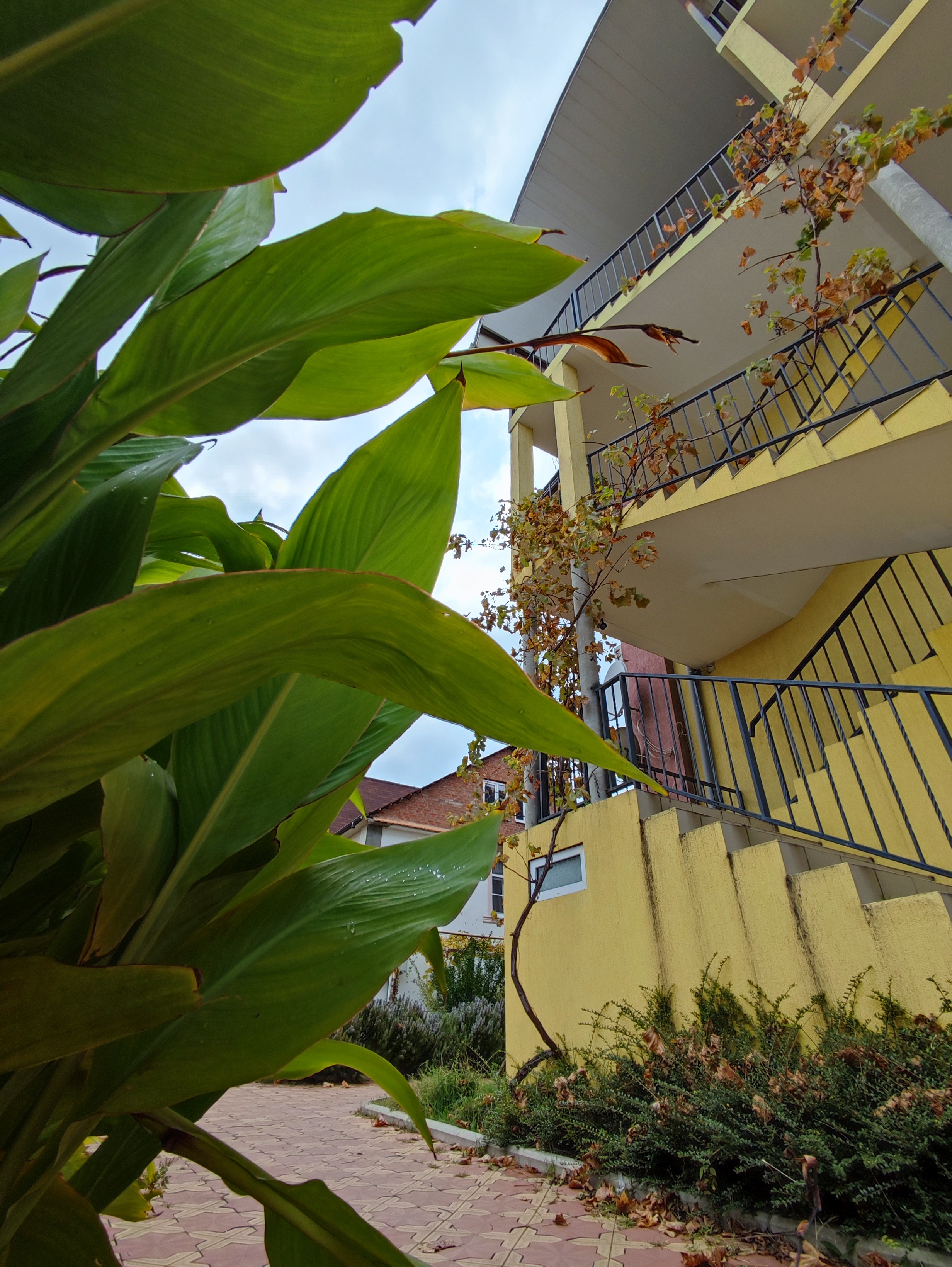 Фото Олимпия