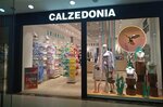 Calzedonia (Bolshaya Cheryomushkinskaya Street, 1), tienda de medias y leotardos