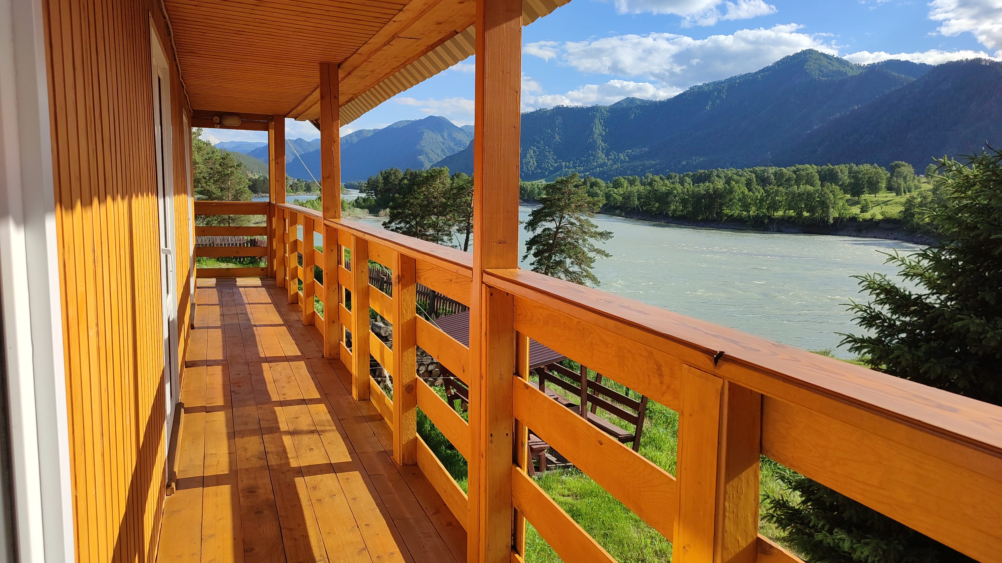 Фото Зубы Дракона