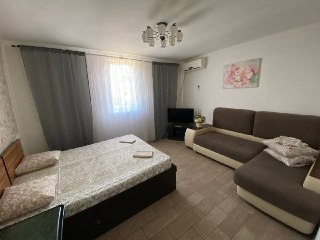 Фото Подсолнух