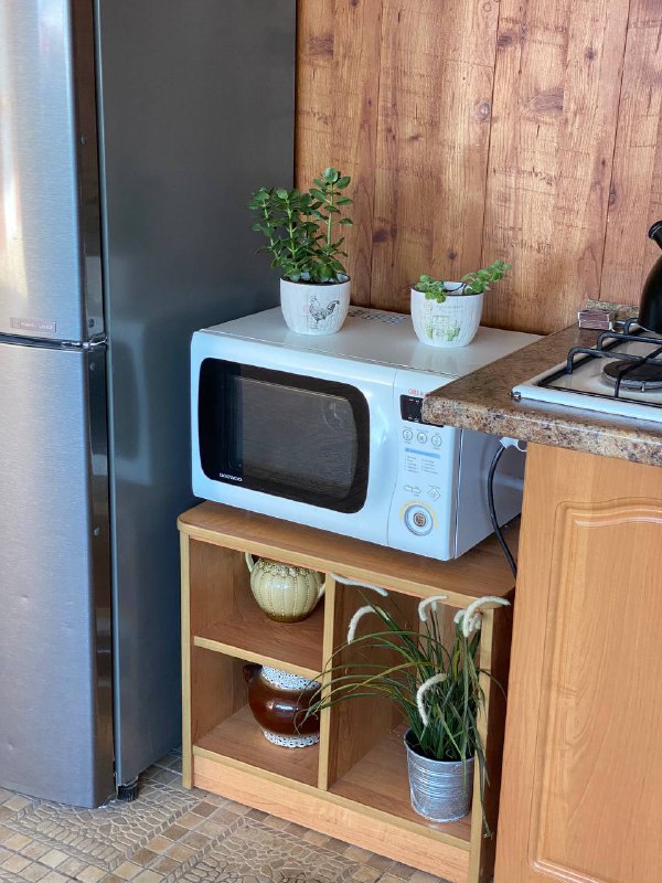 Фото Подсолнух