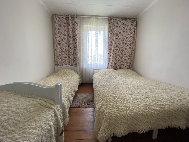 Фото Подсолнух