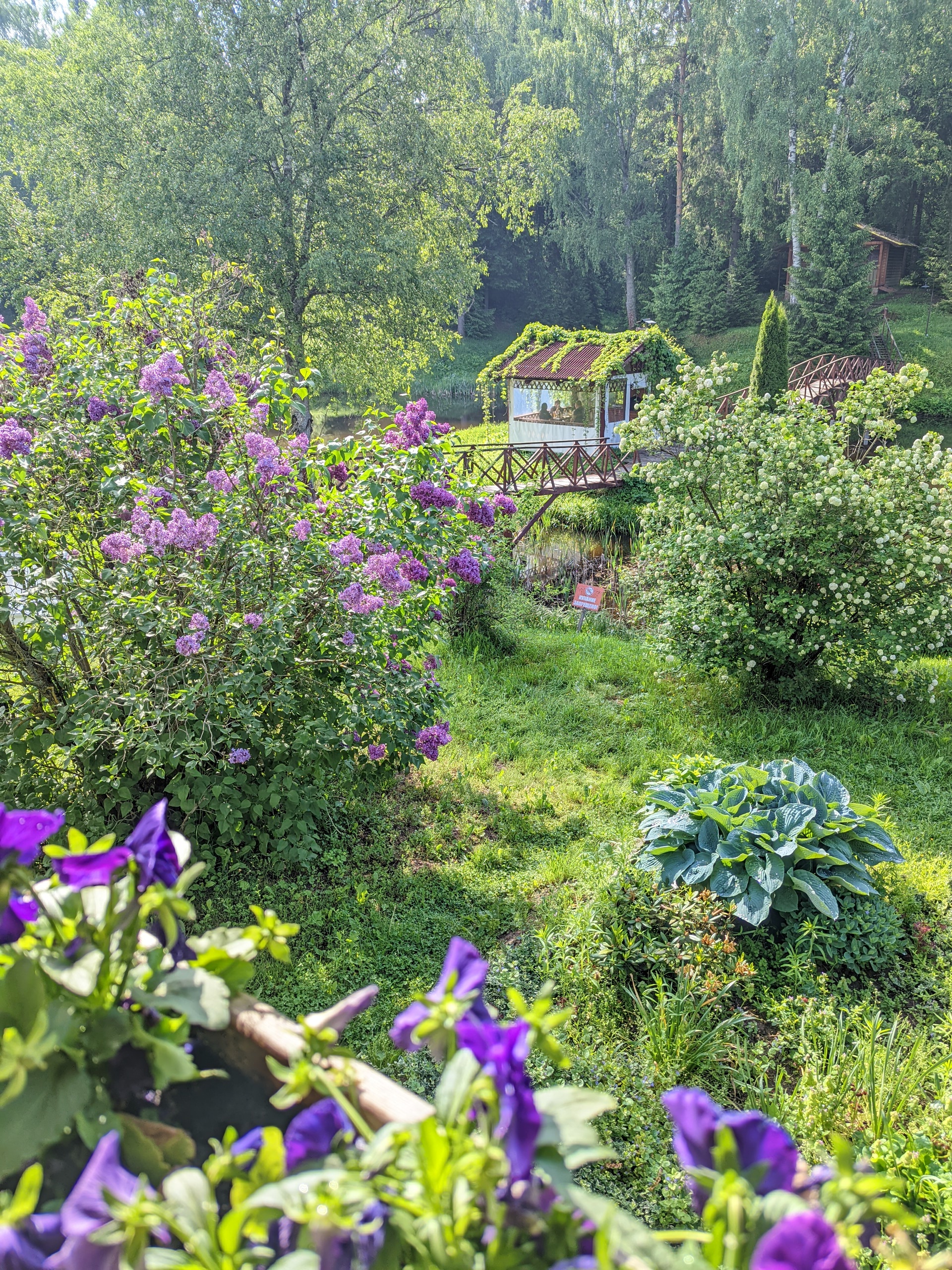 Фото Запруднево