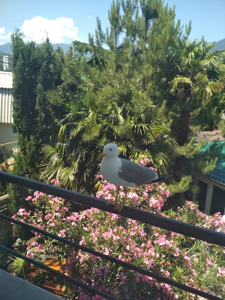 Фото Владислава