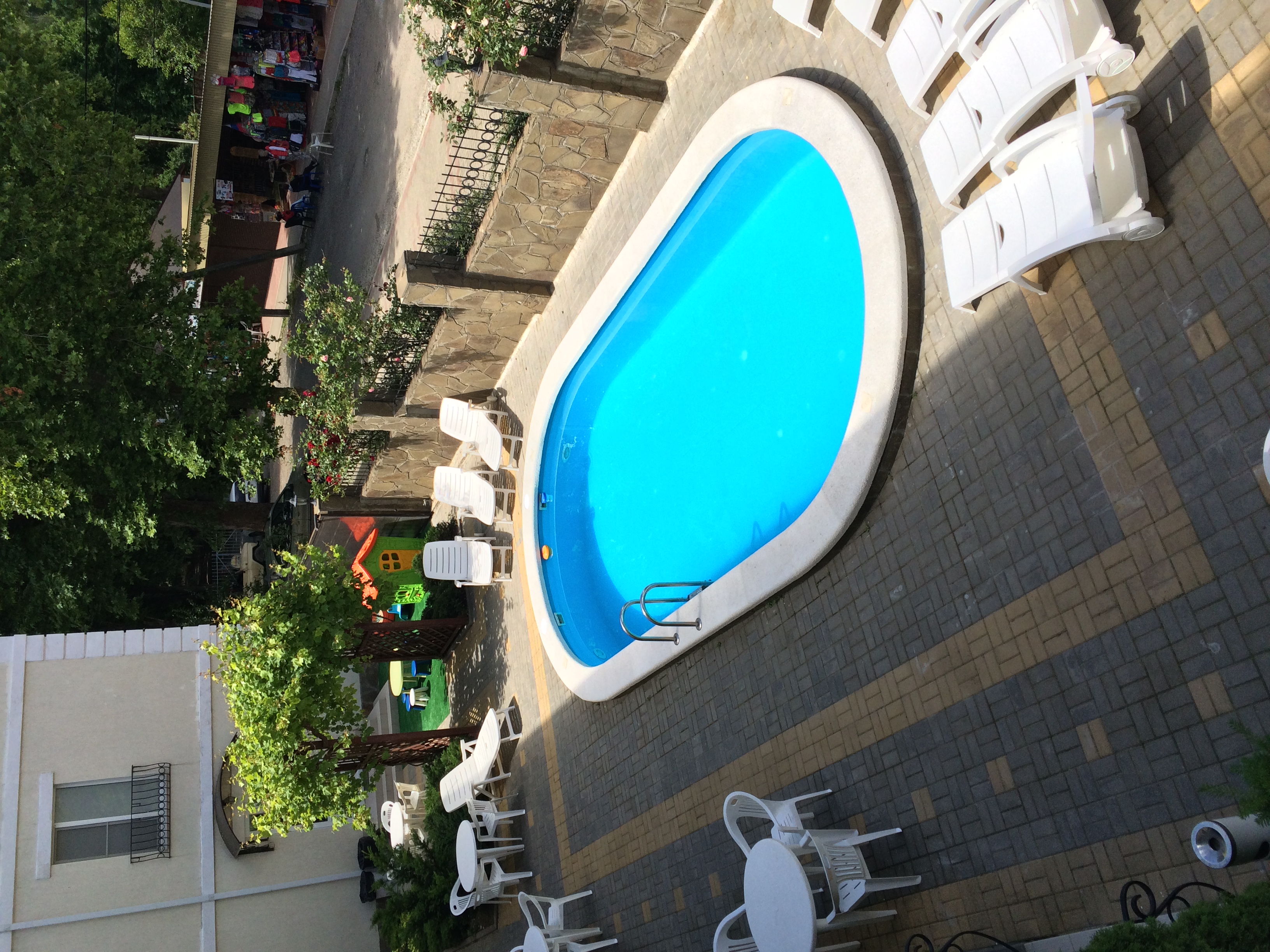 Фото Золотой Каштан