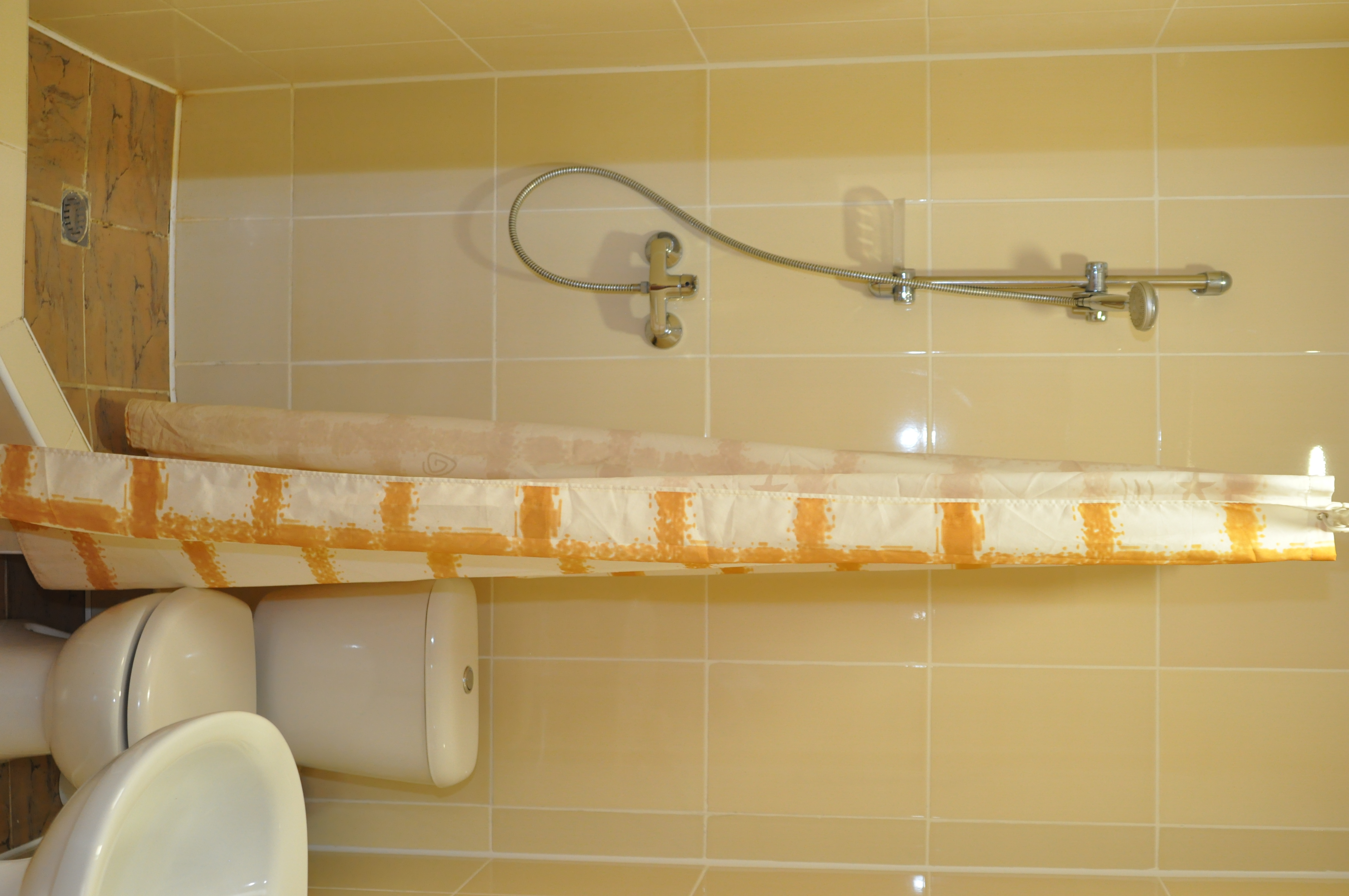 Фото Золотой Каштан