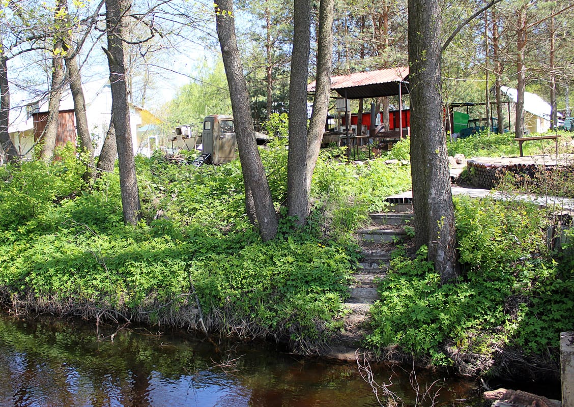 Фото Залесье