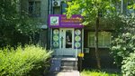 Pulse (5th microdistrict, 29), dental clinic
