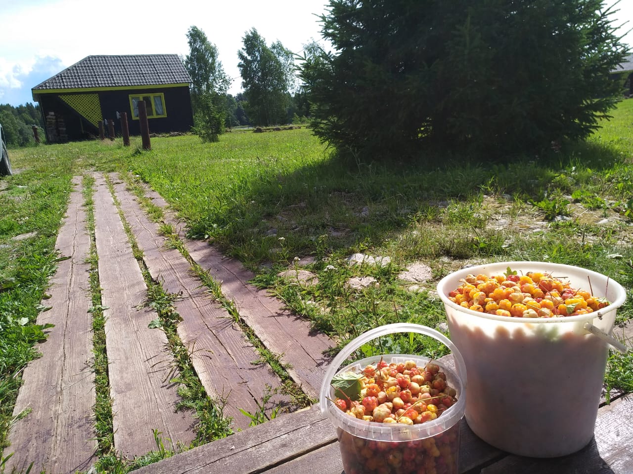 Фото Умосту