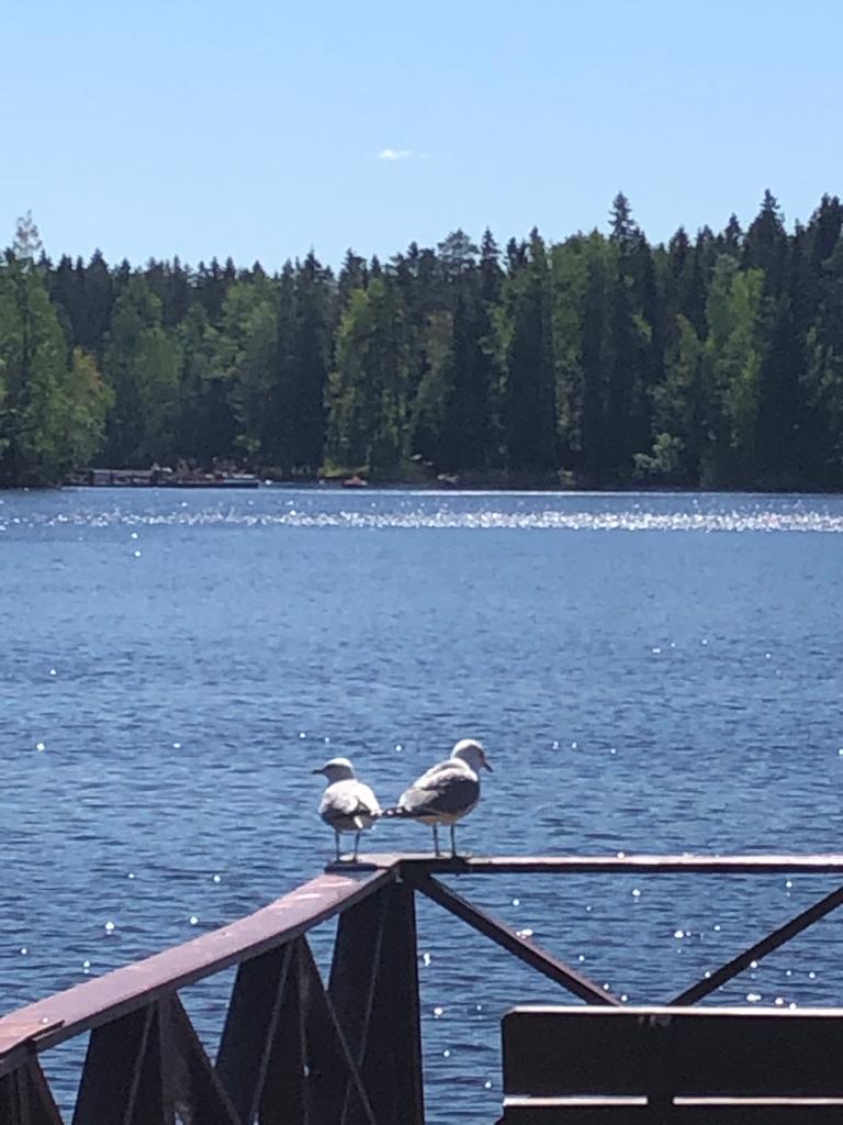 Фото Лесная сказка