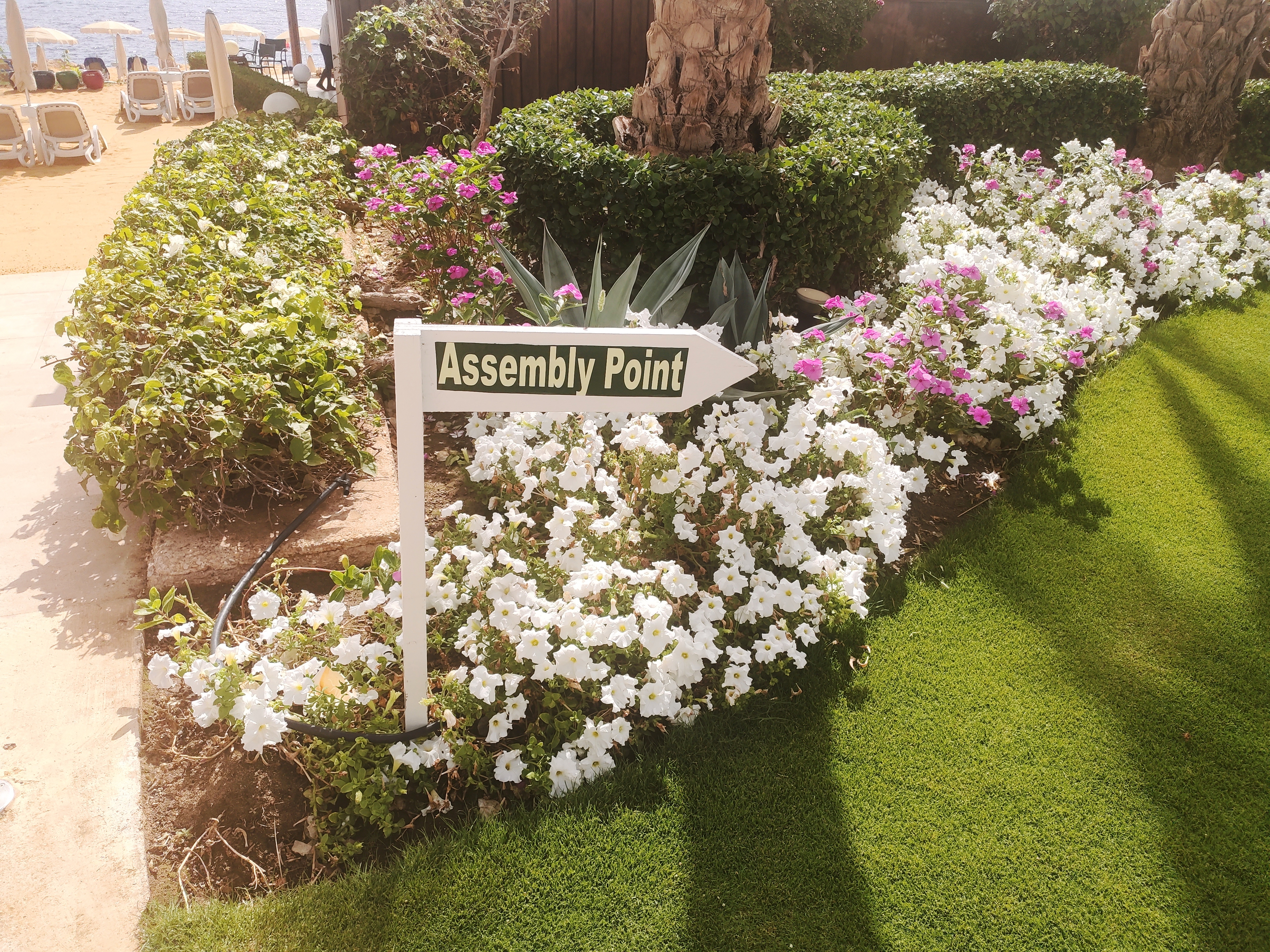 Фото Stella Di Mare Beach Hotel & Spa