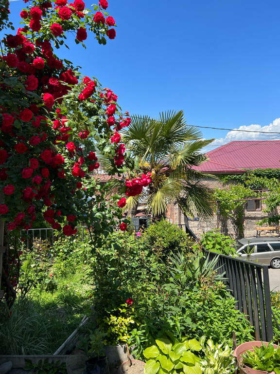 Фото Old Tbilisi Terrace